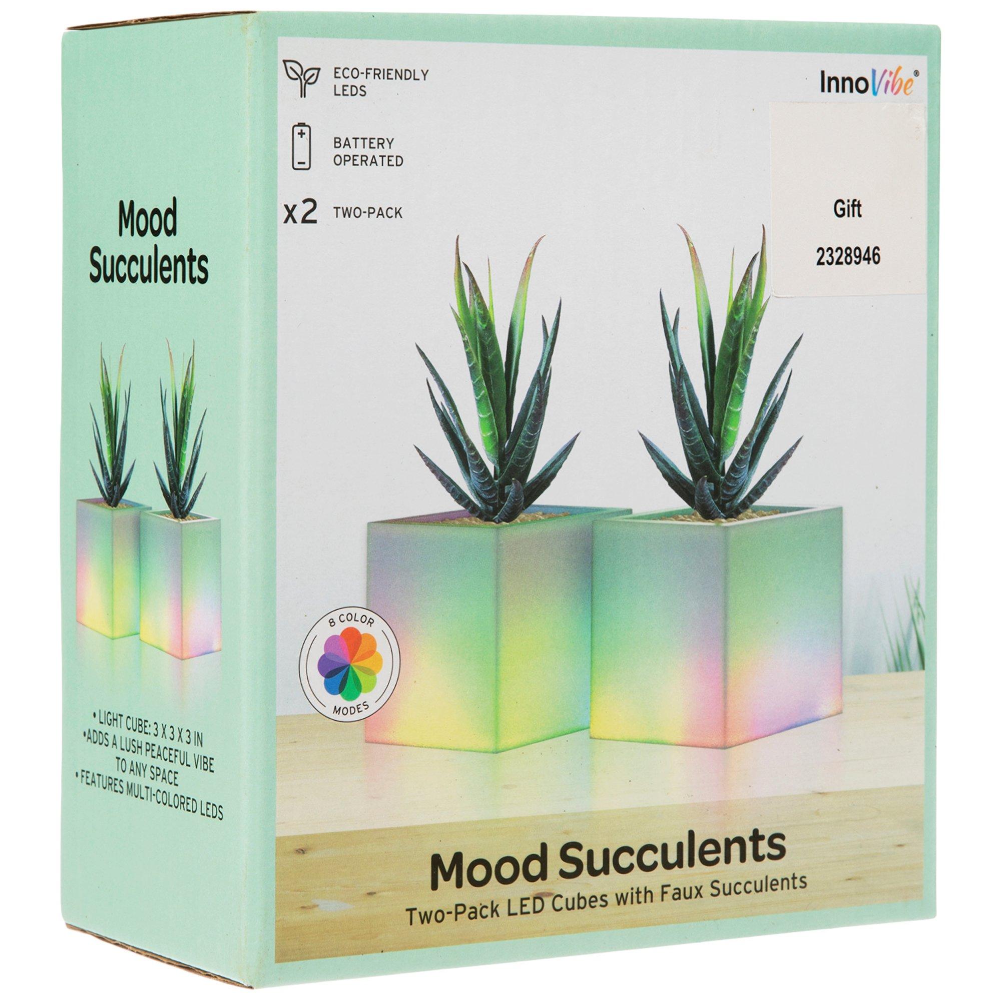 Succulents In Light Up Pots Hobby Lobby 2328946