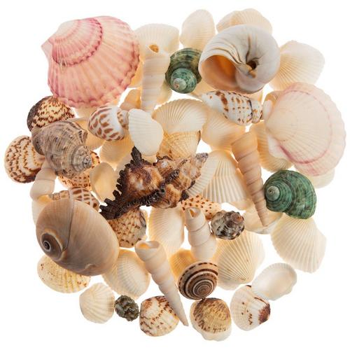 Fancy Shells Mix