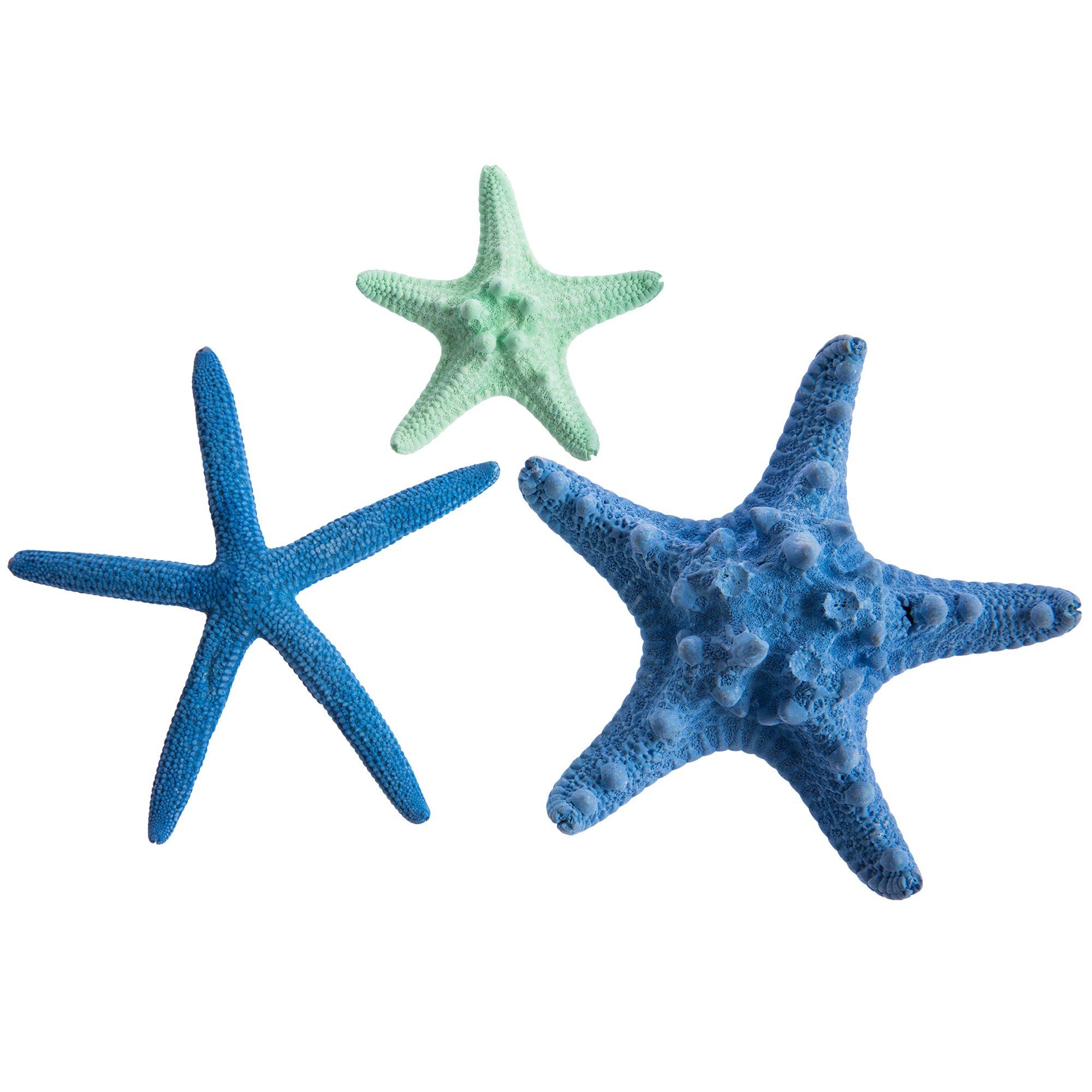 Colorful Armored Starfish