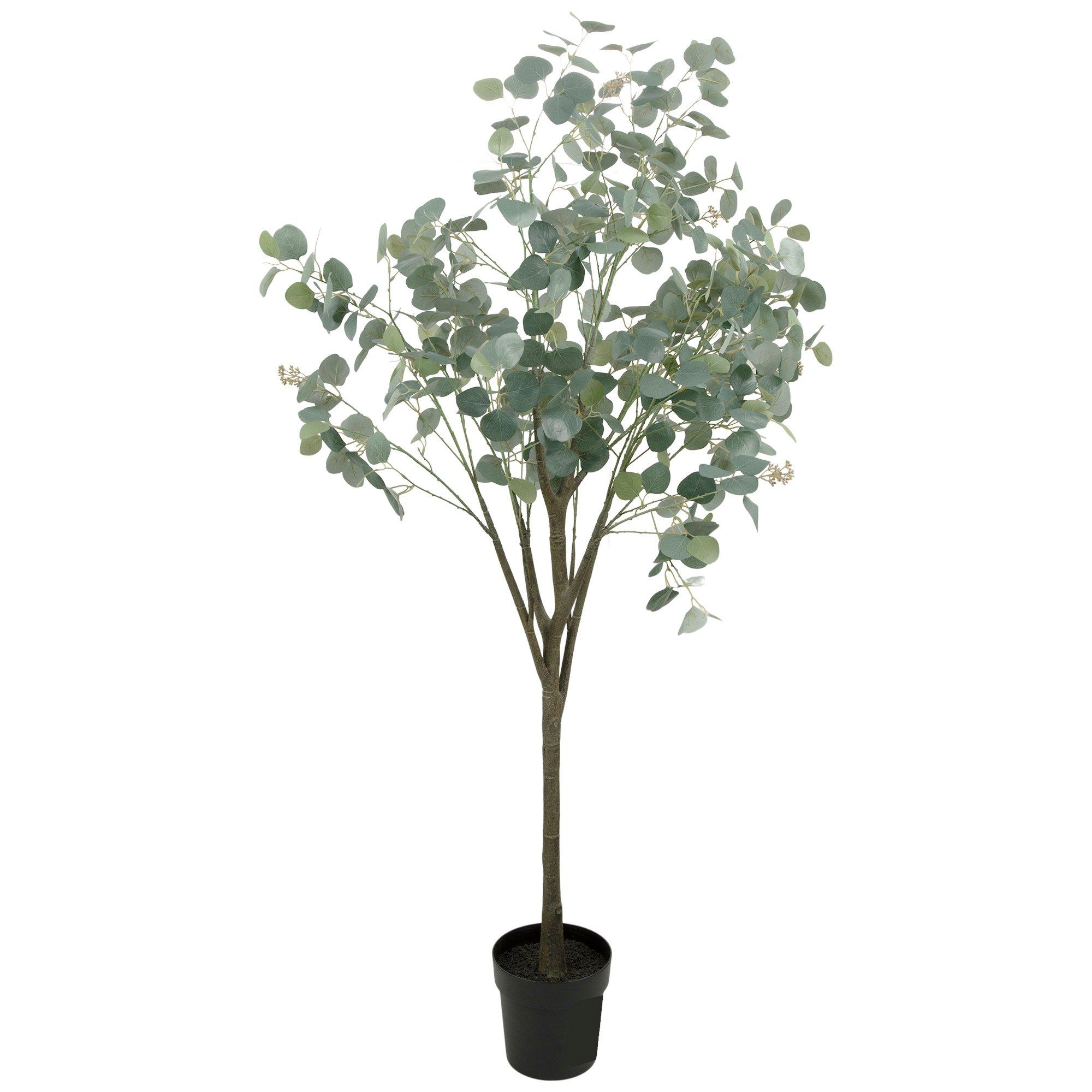 Eucalyptus Tree In Black Pot | Hobby Lobby | 2337723