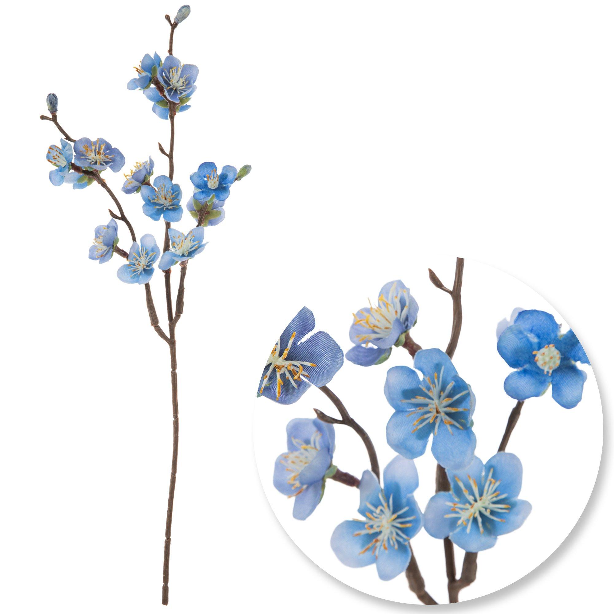 Selected Product Image