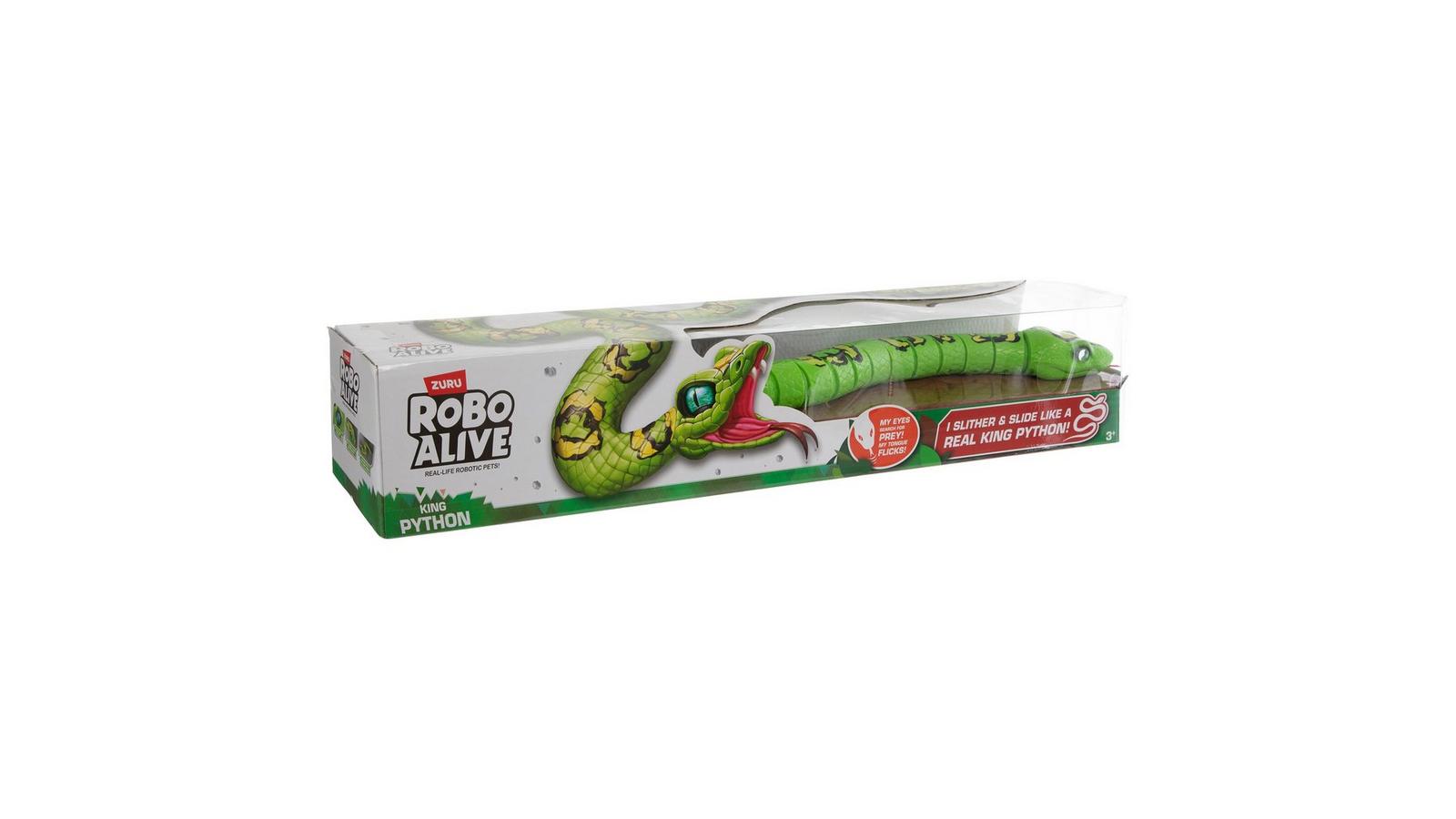 2339513-81161412-08152025-