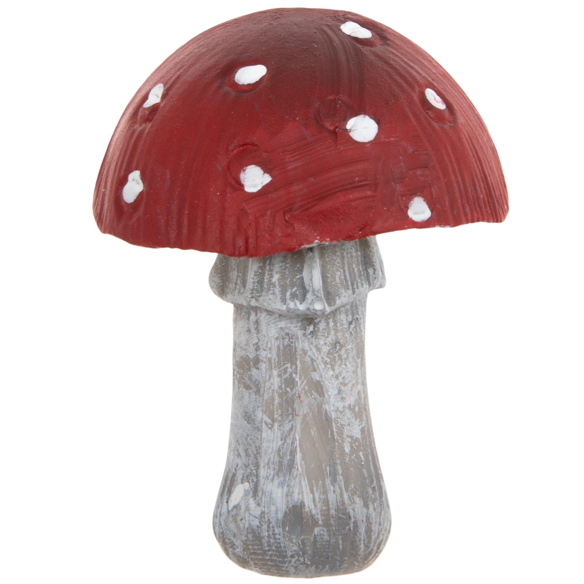 Selected Product Image
