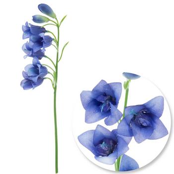 Bluebell Pick