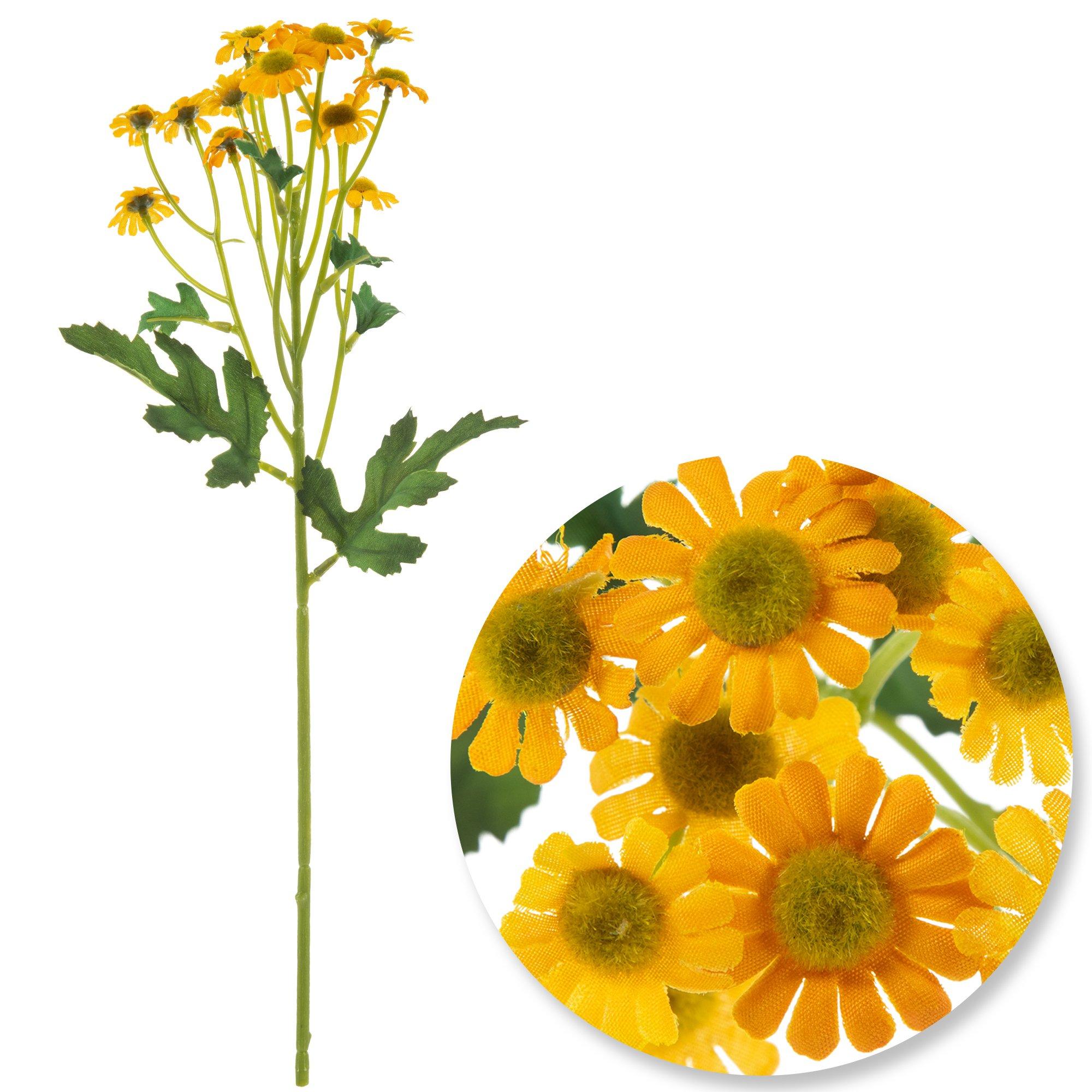 Selected Product Image