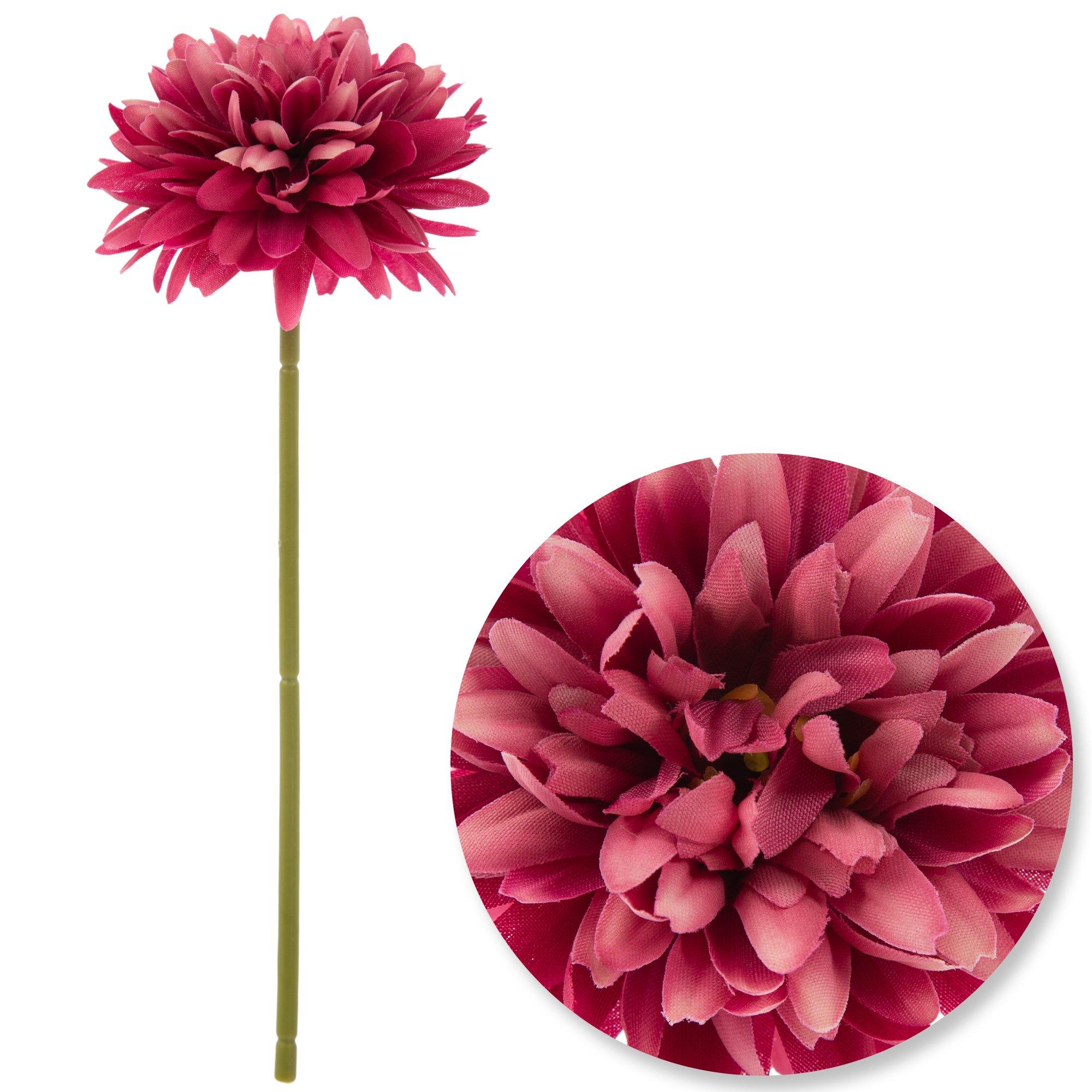 Selected Product Image