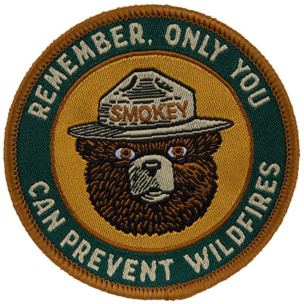 PATCH RAICHU POKÉMON Toppa Termoadesiva Iron On Embroidered Elettro - Foto 7