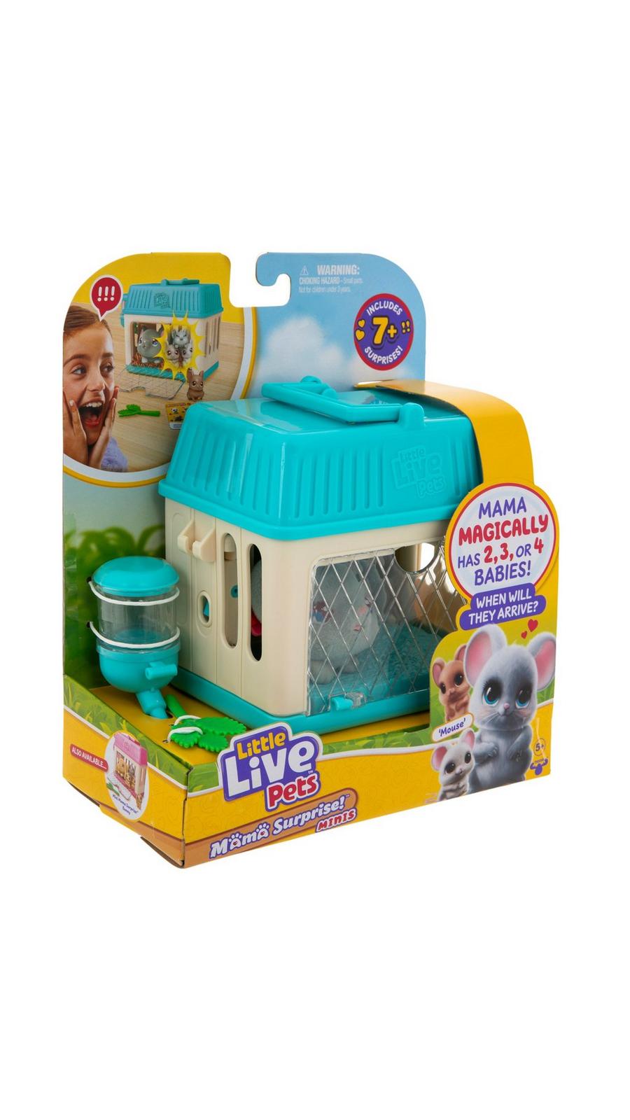 2358562-81167706-01032025-