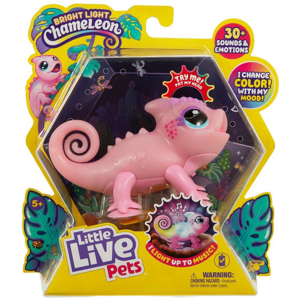 2358661-81167746-01202025-