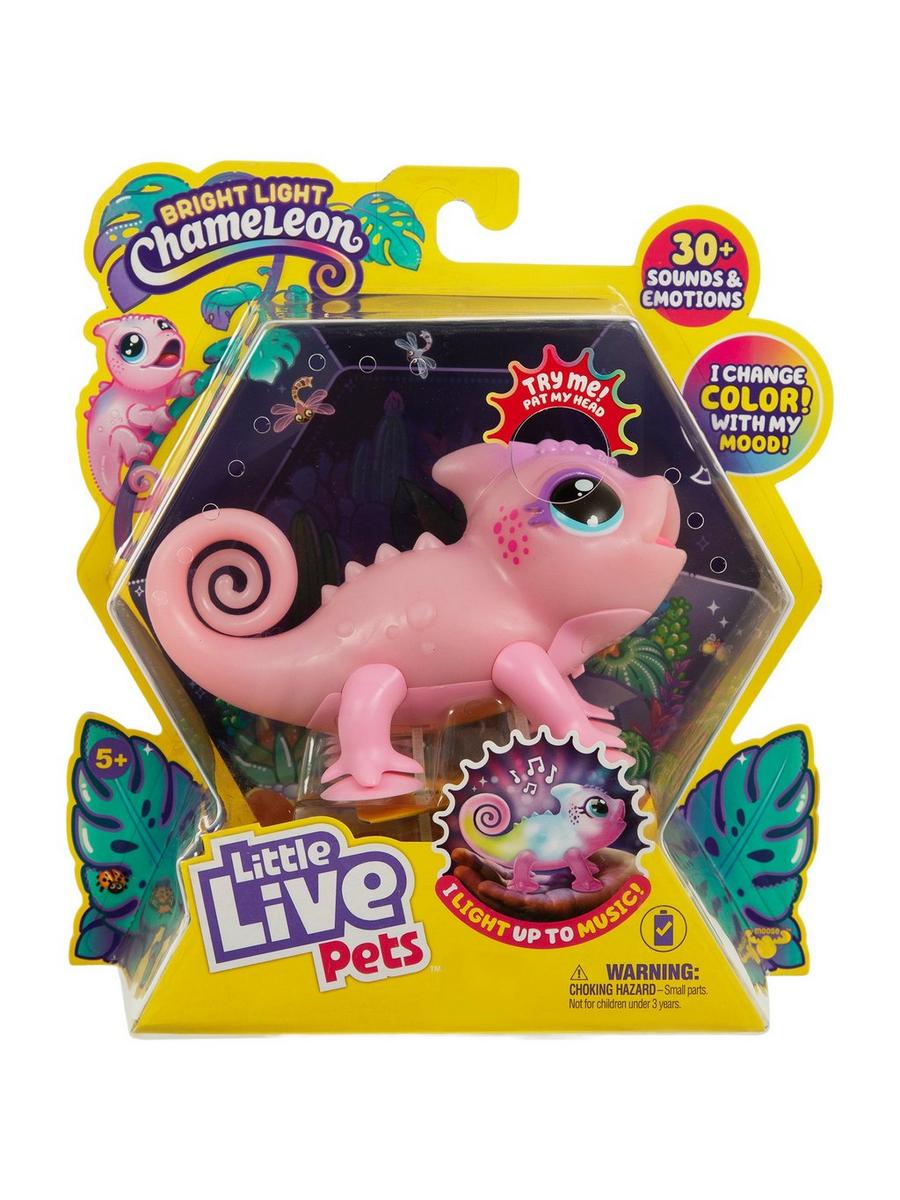 2358661-81167746-01202025-