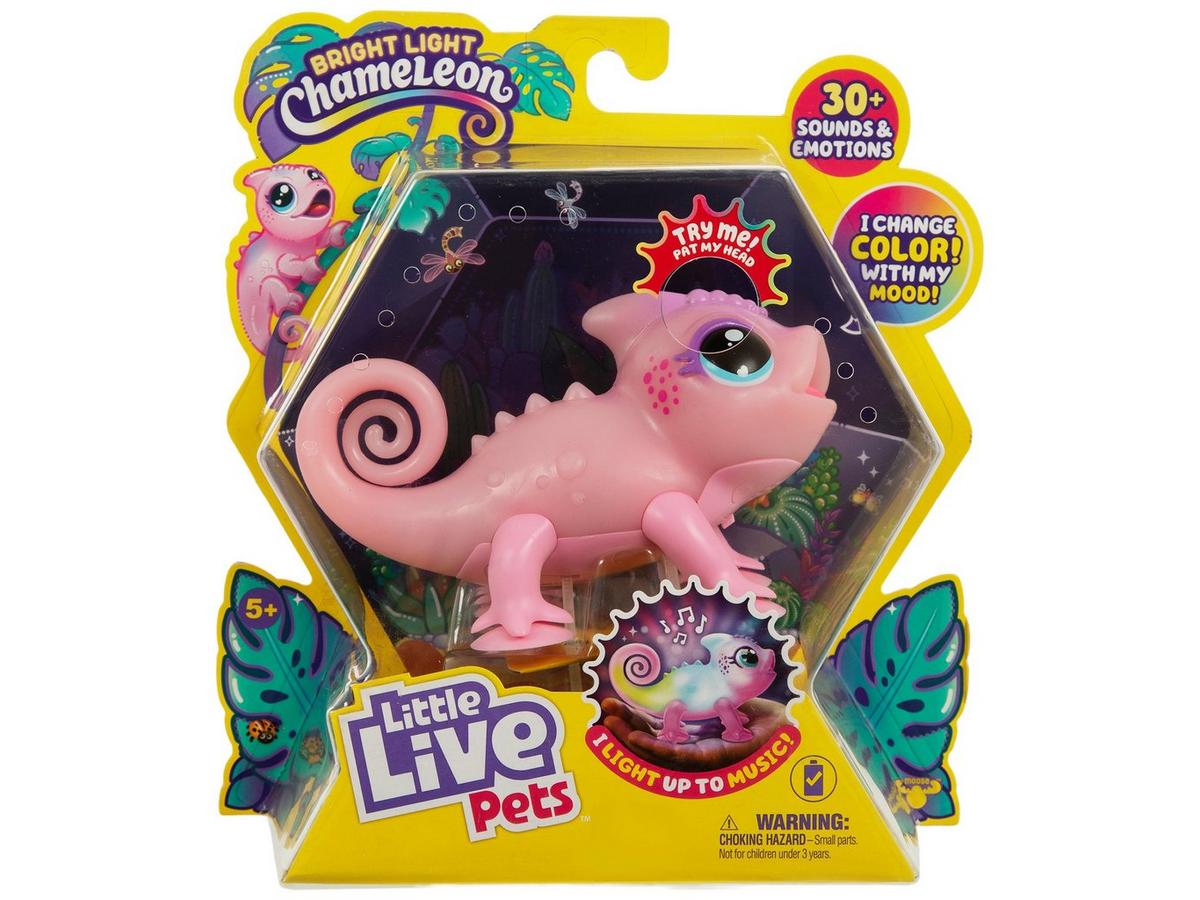 2358661-81167746-01202025-