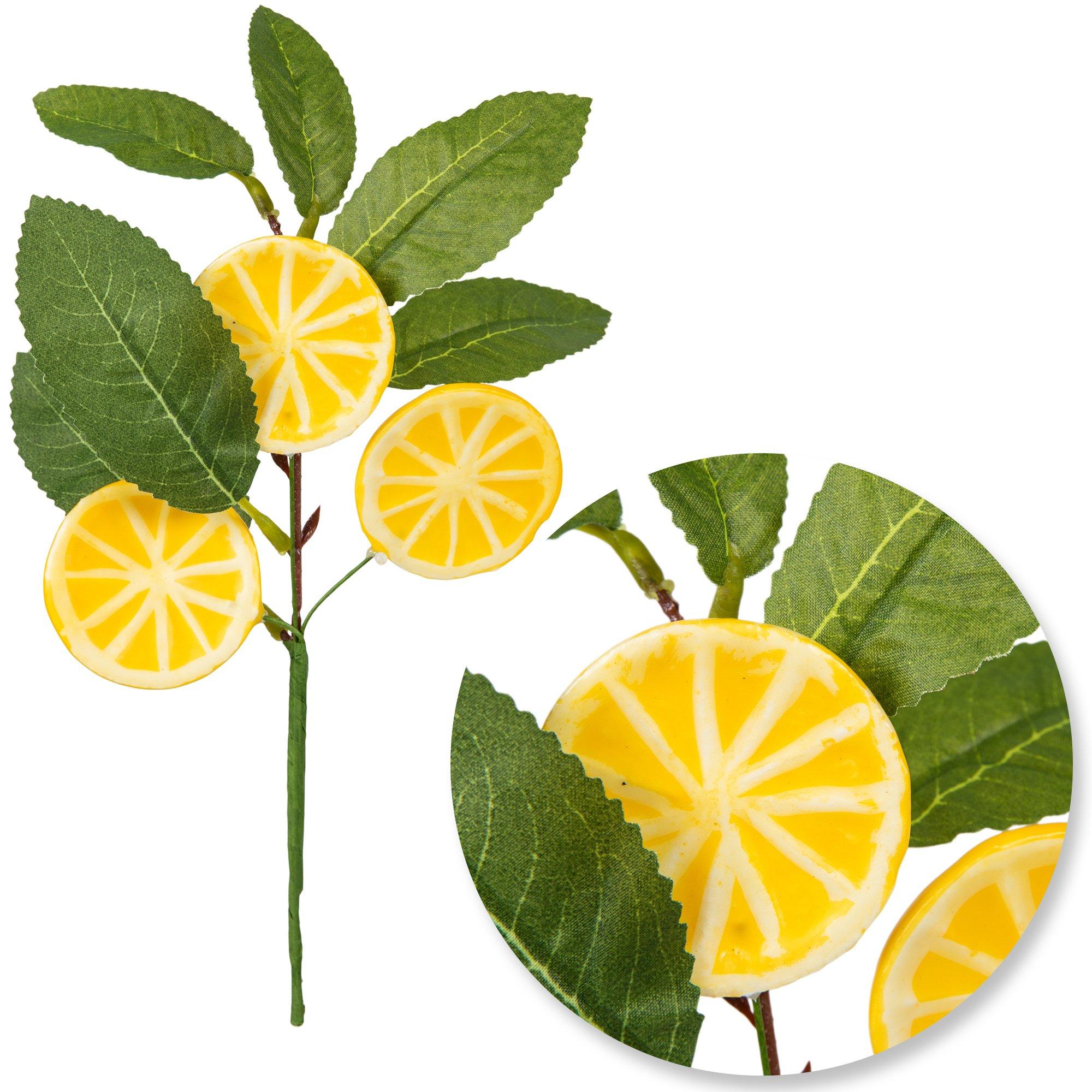 Lemons On Branch