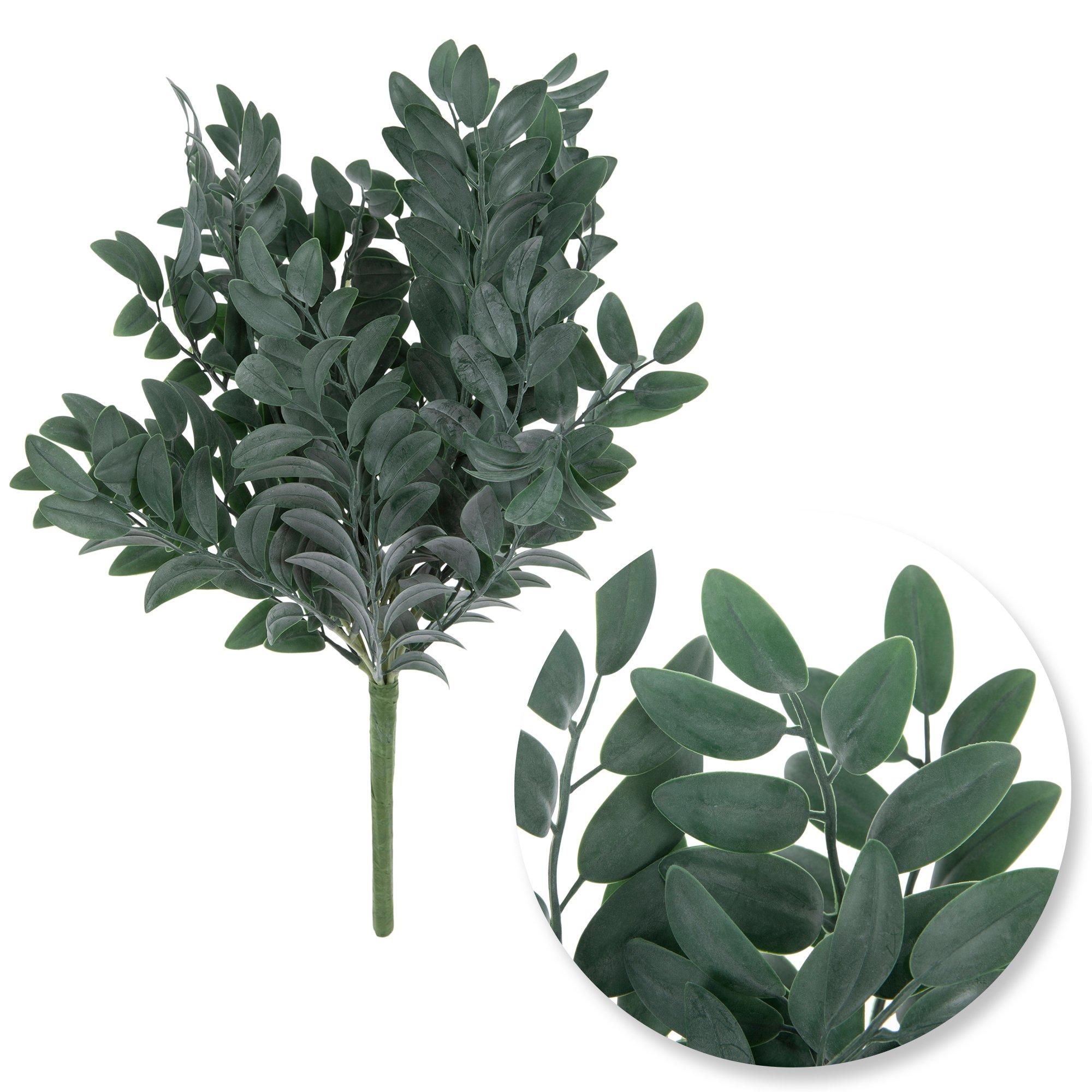 Selected Product Image