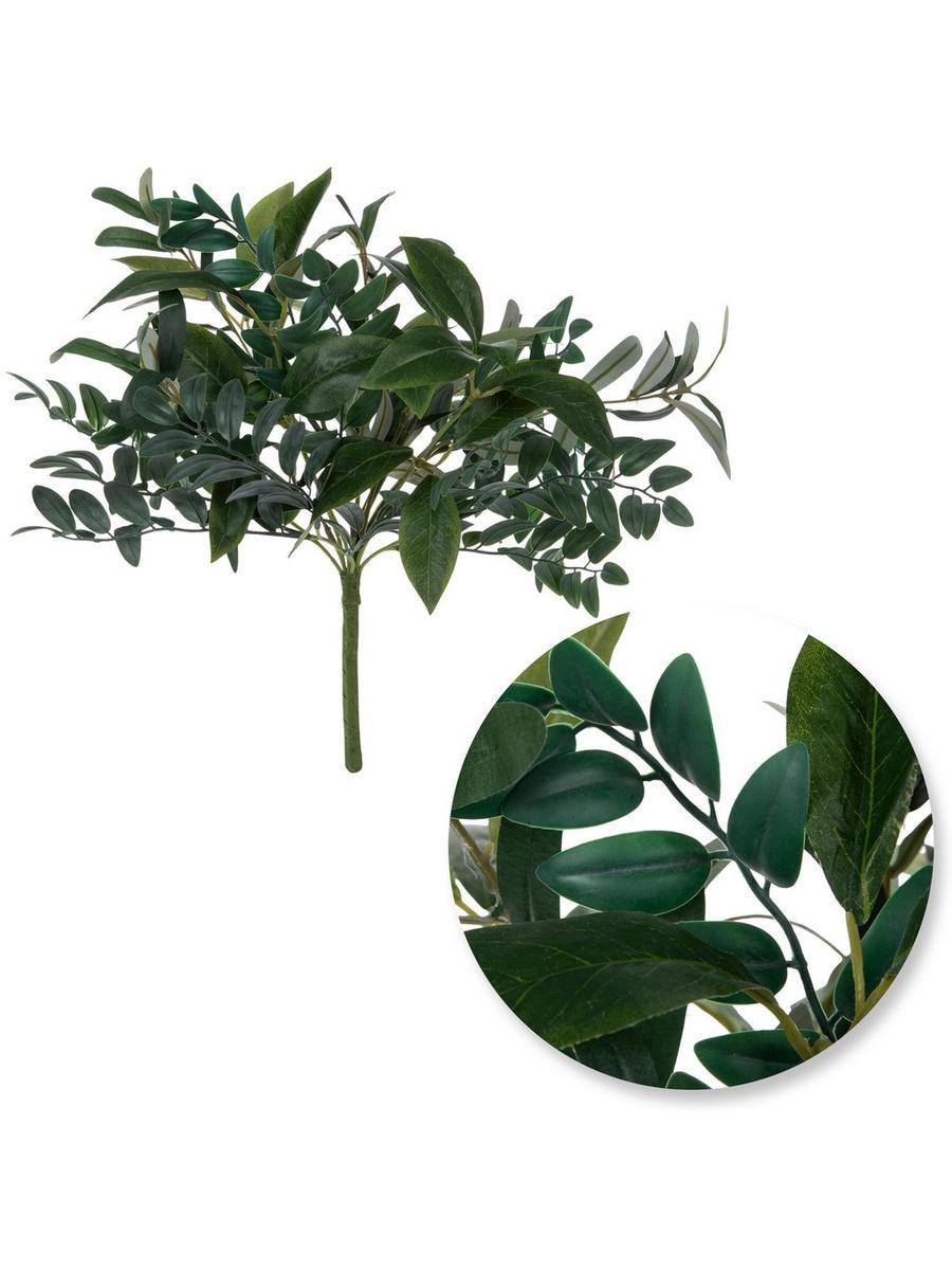 2361145-81168319-05212024-