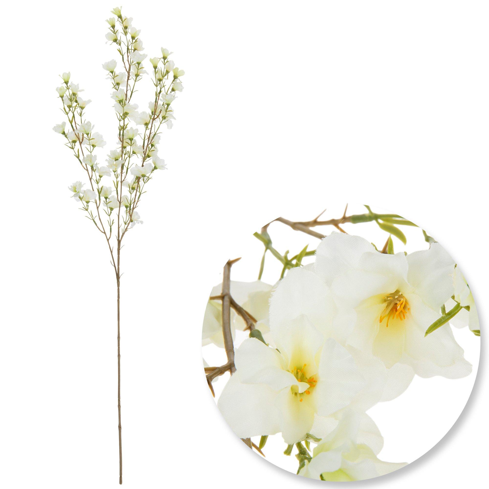 Delphinium Spray