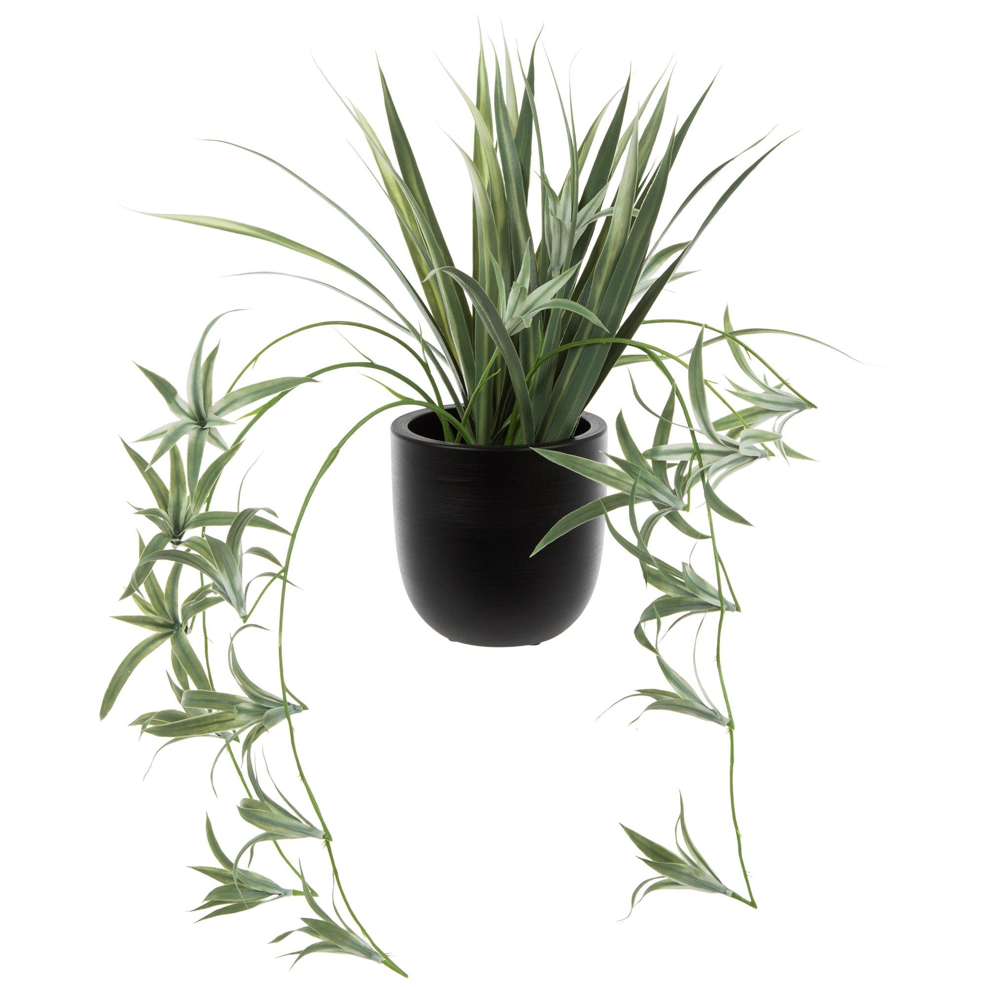 white ceramic planter pots Imperial Mini Flower Pots, Set of 6