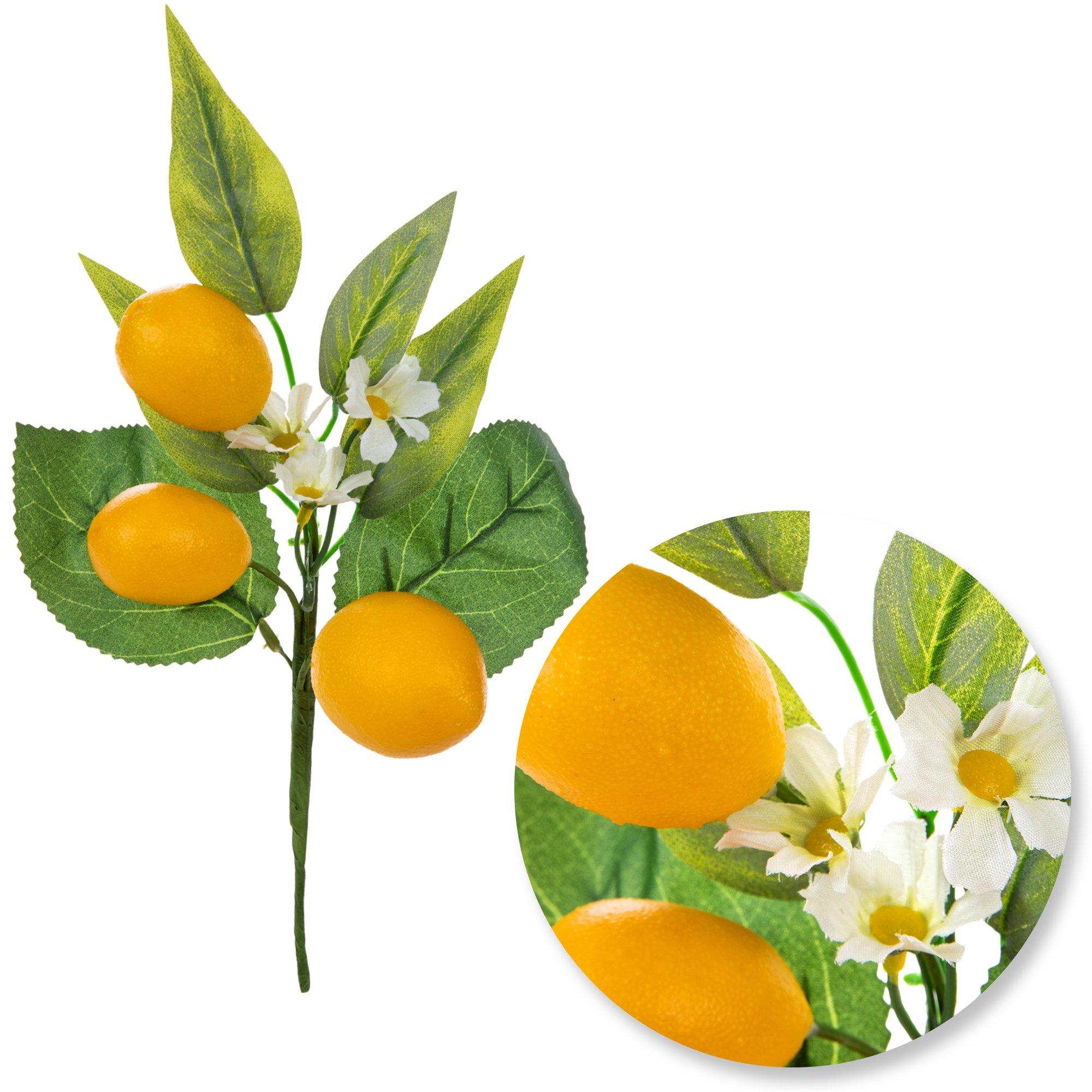 Lemons On Branch