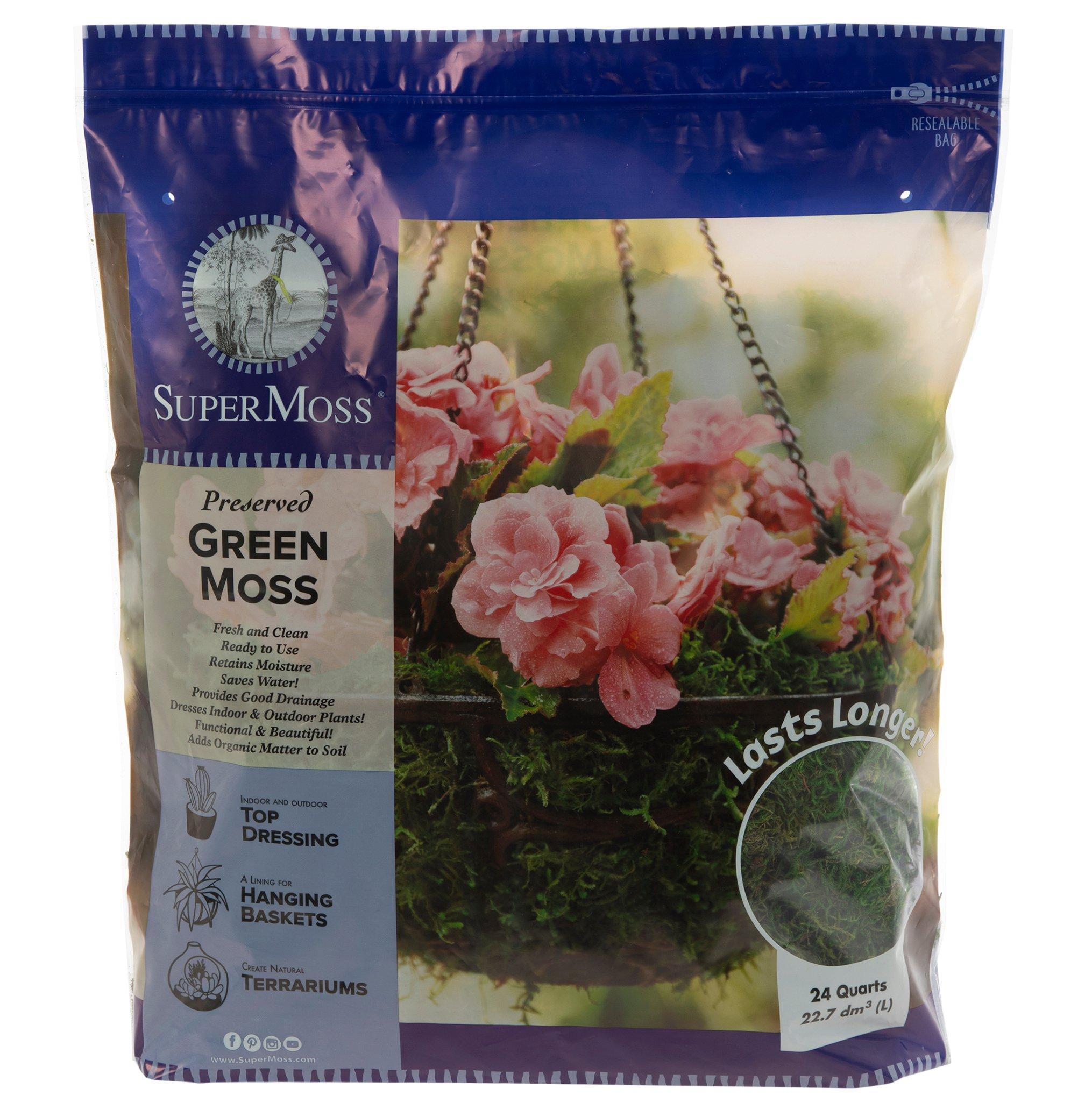 Preserved Forest Moss Hobby Lobby 2365161