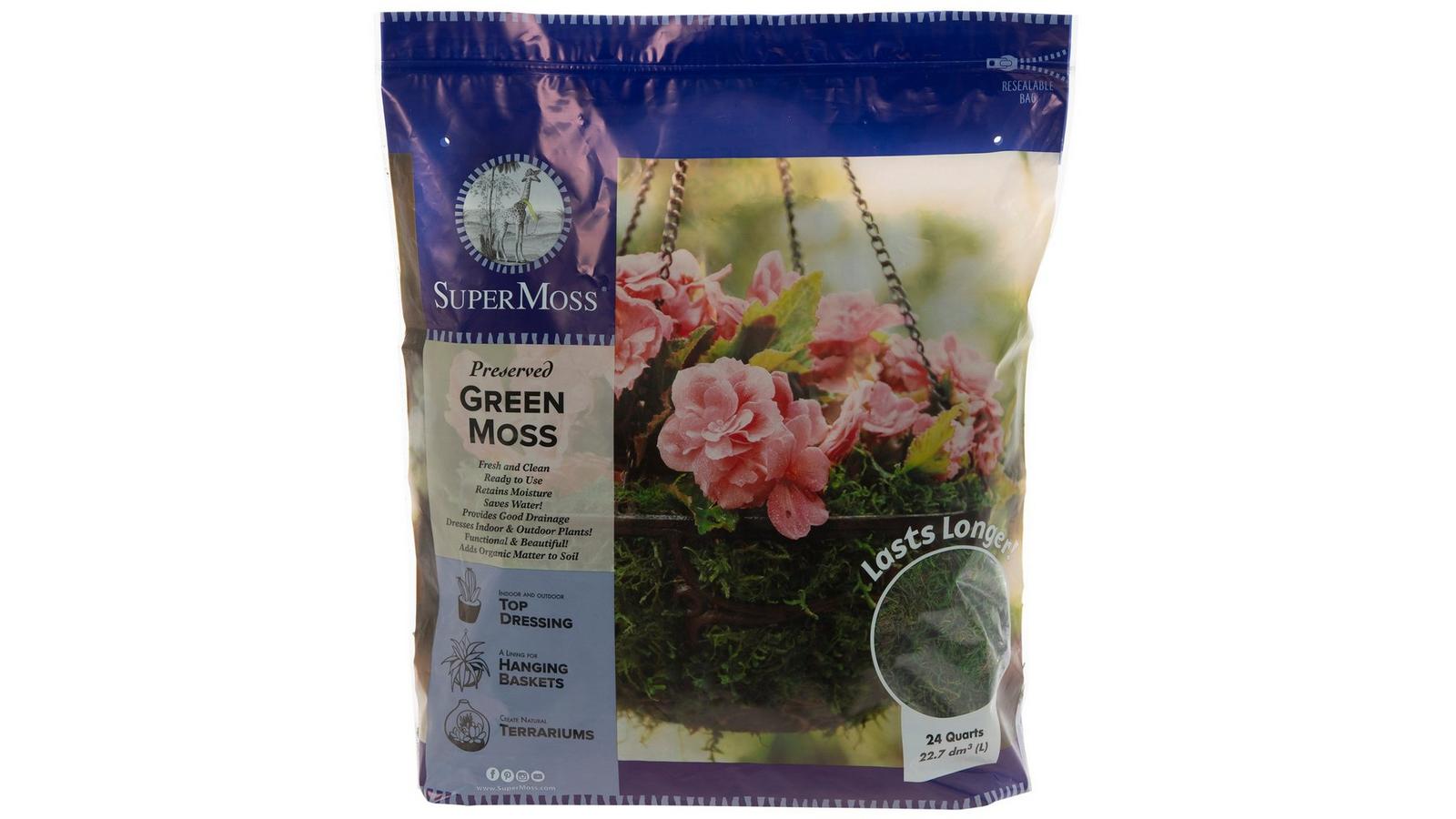 ももん mossmoss SuperMoss Forest Moss Preserved Fresh Green - 8oz