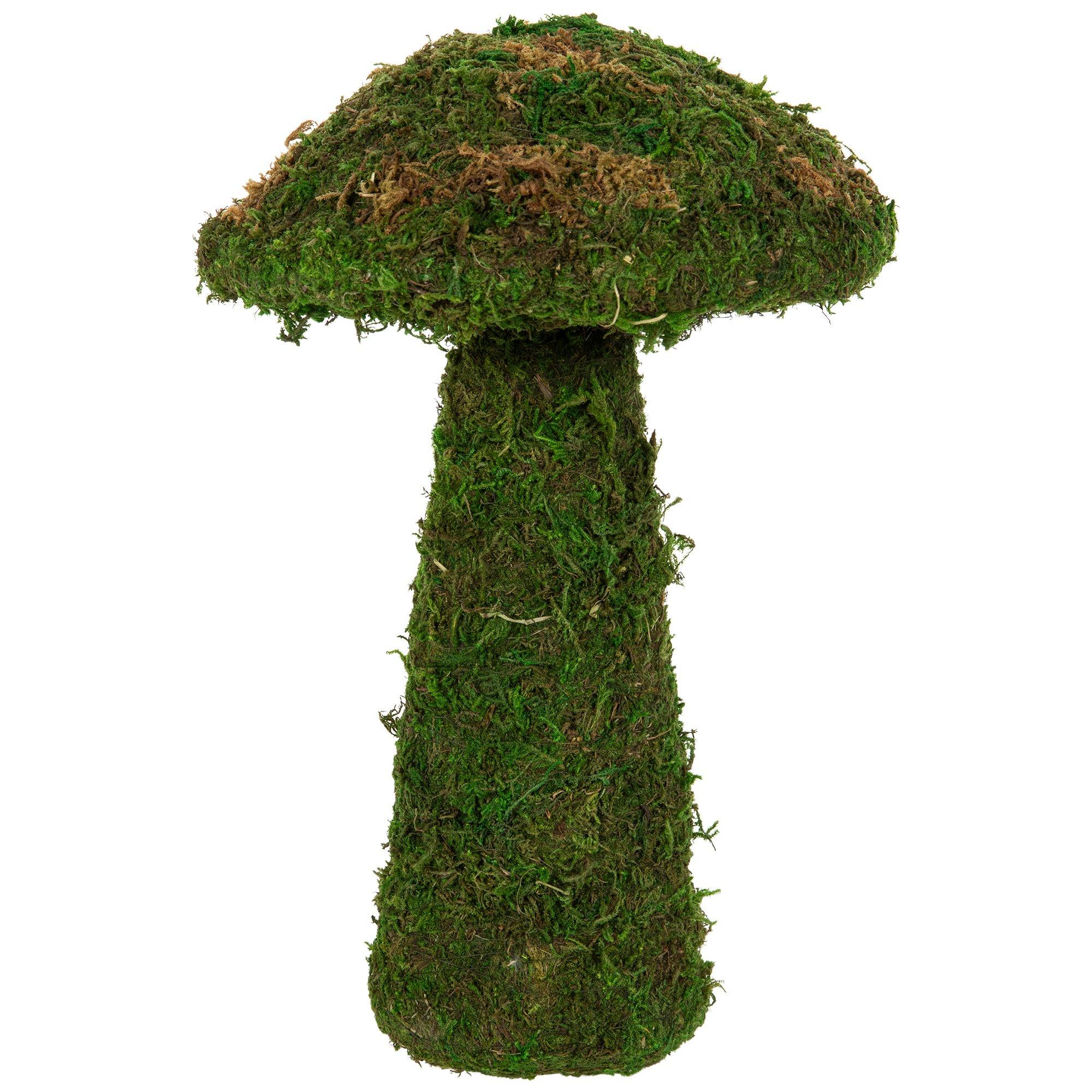 Moss Mushroom | Hobby Lobby | 2370716