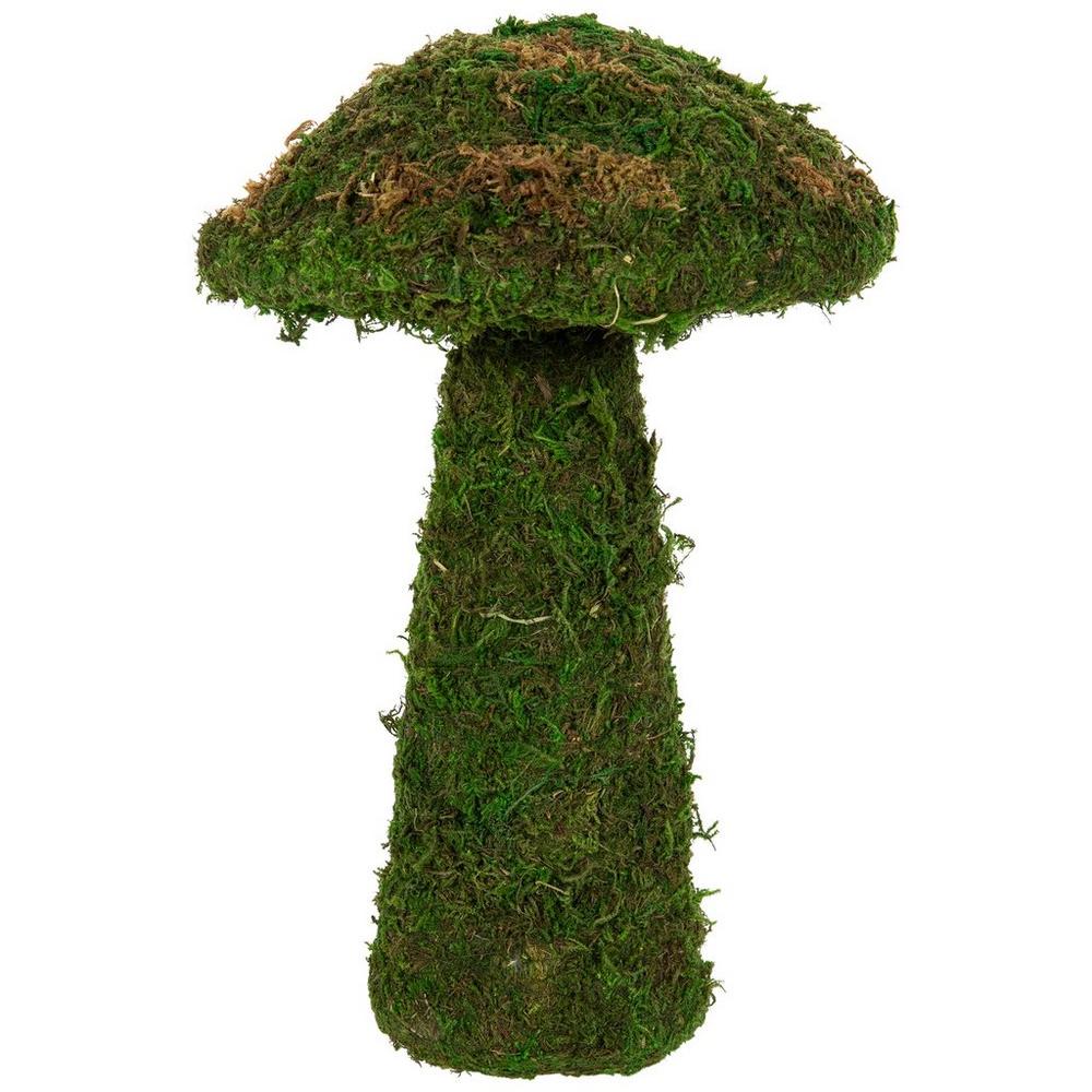 mushroom　0705 2370716-81170570-09232024-