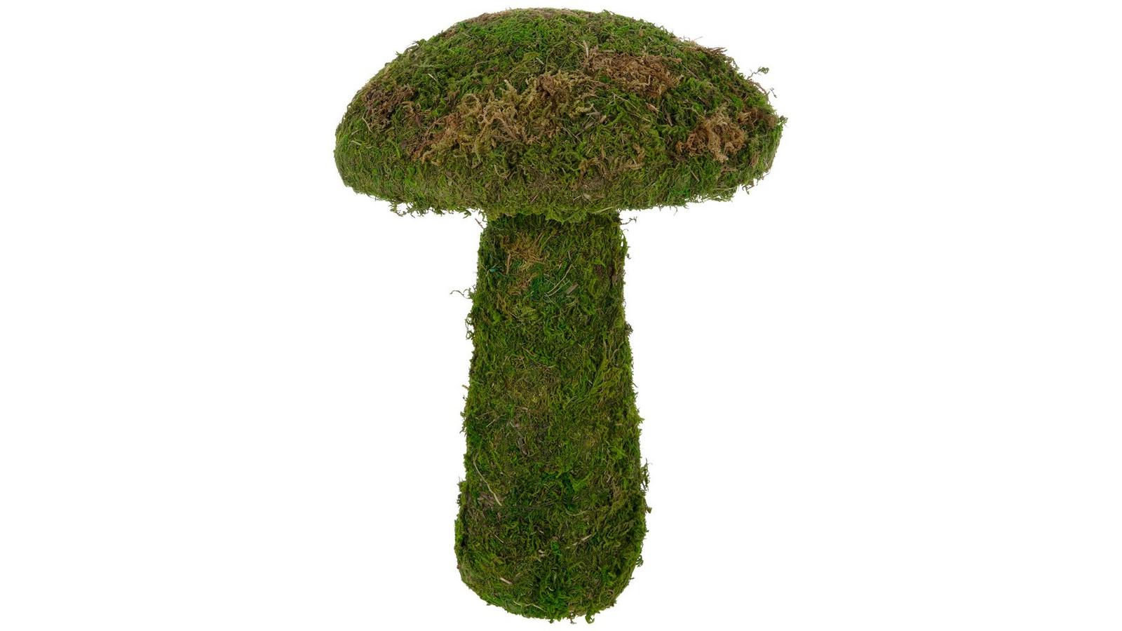 4176 mushroom 670mm×580mm NEW Forbo Desktop Linoleum 