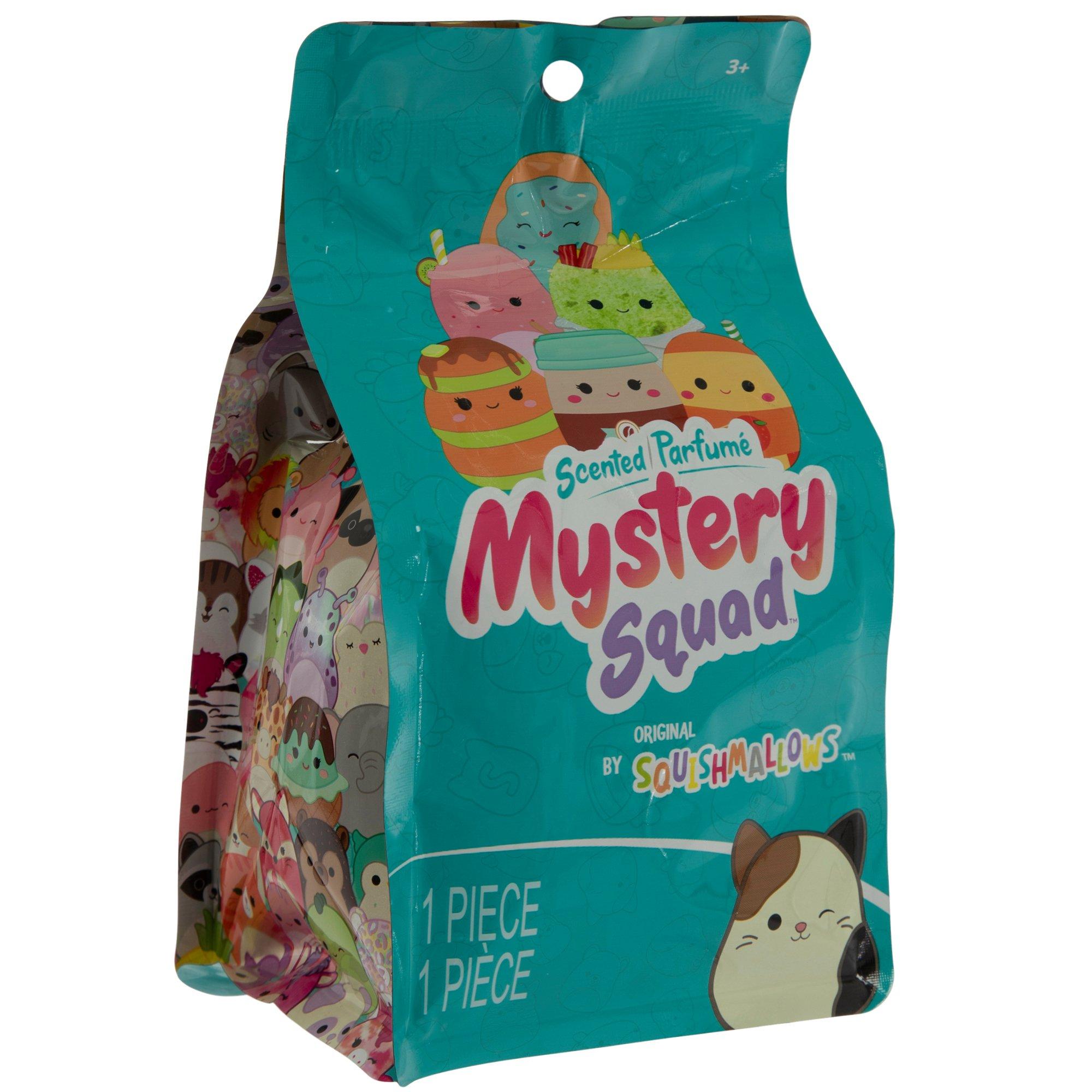 Squishmallows Scented Mystery Squad | Hobby Lobby | 2379287