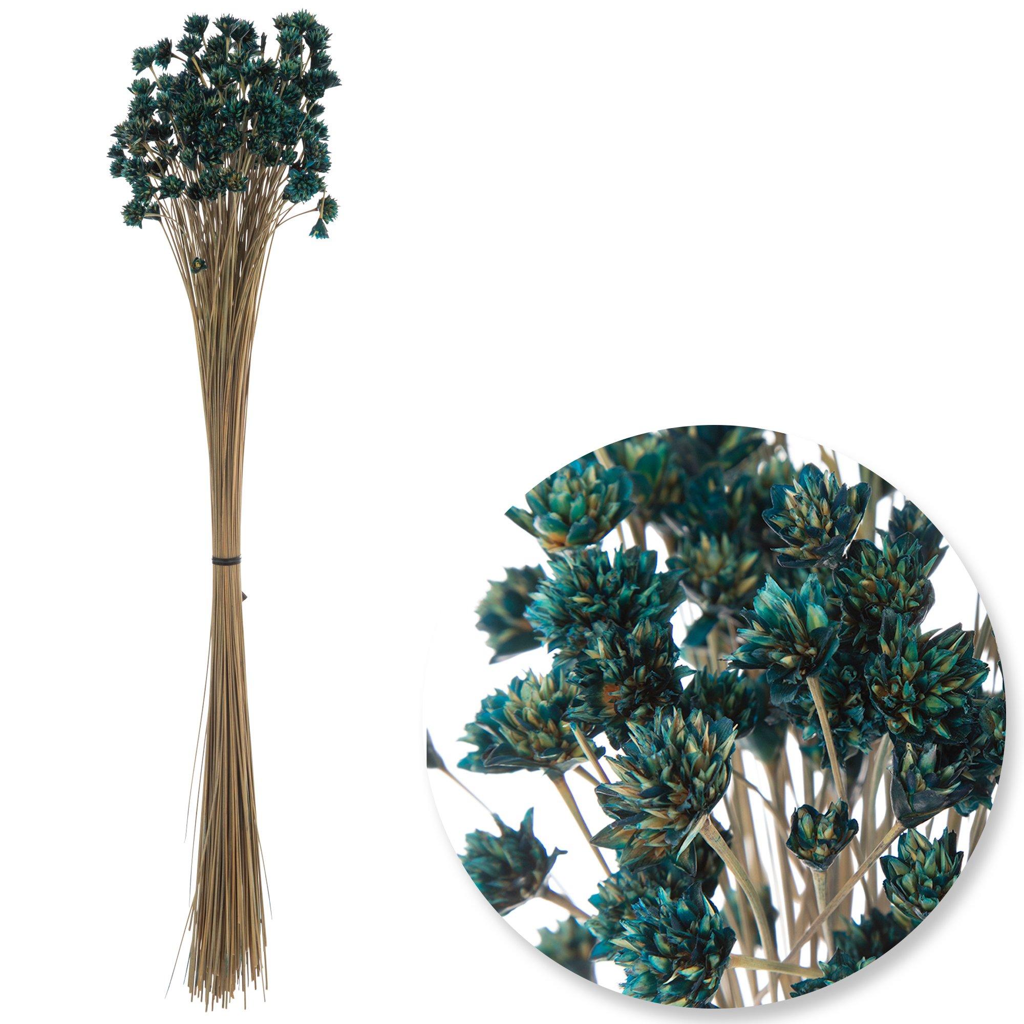 Selected Product Image