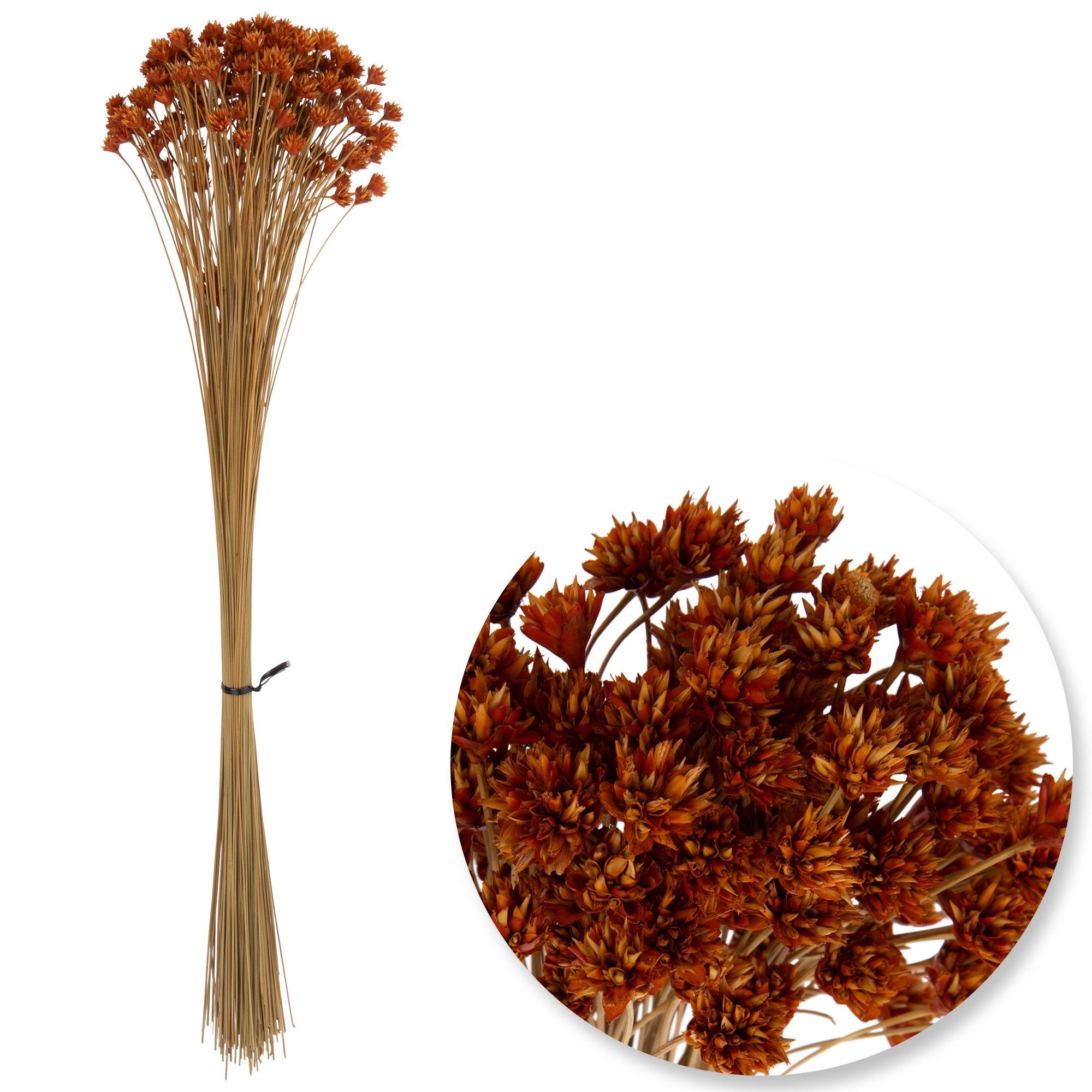 Selected Product Image