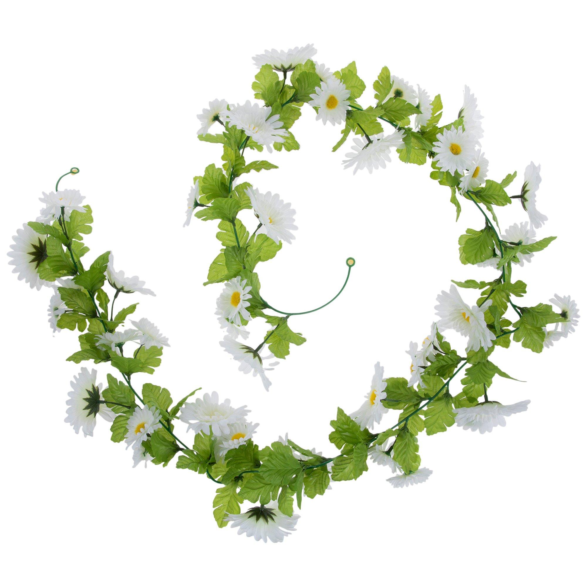 Selected Product Image