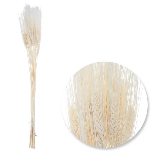 Bleached Wheat Bundle
