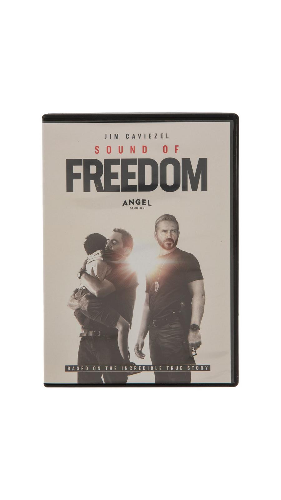 ミュージック a flood of circle Here Is My Freedom DVD a flood of circle DVD Here Is My Freedom ミュージック