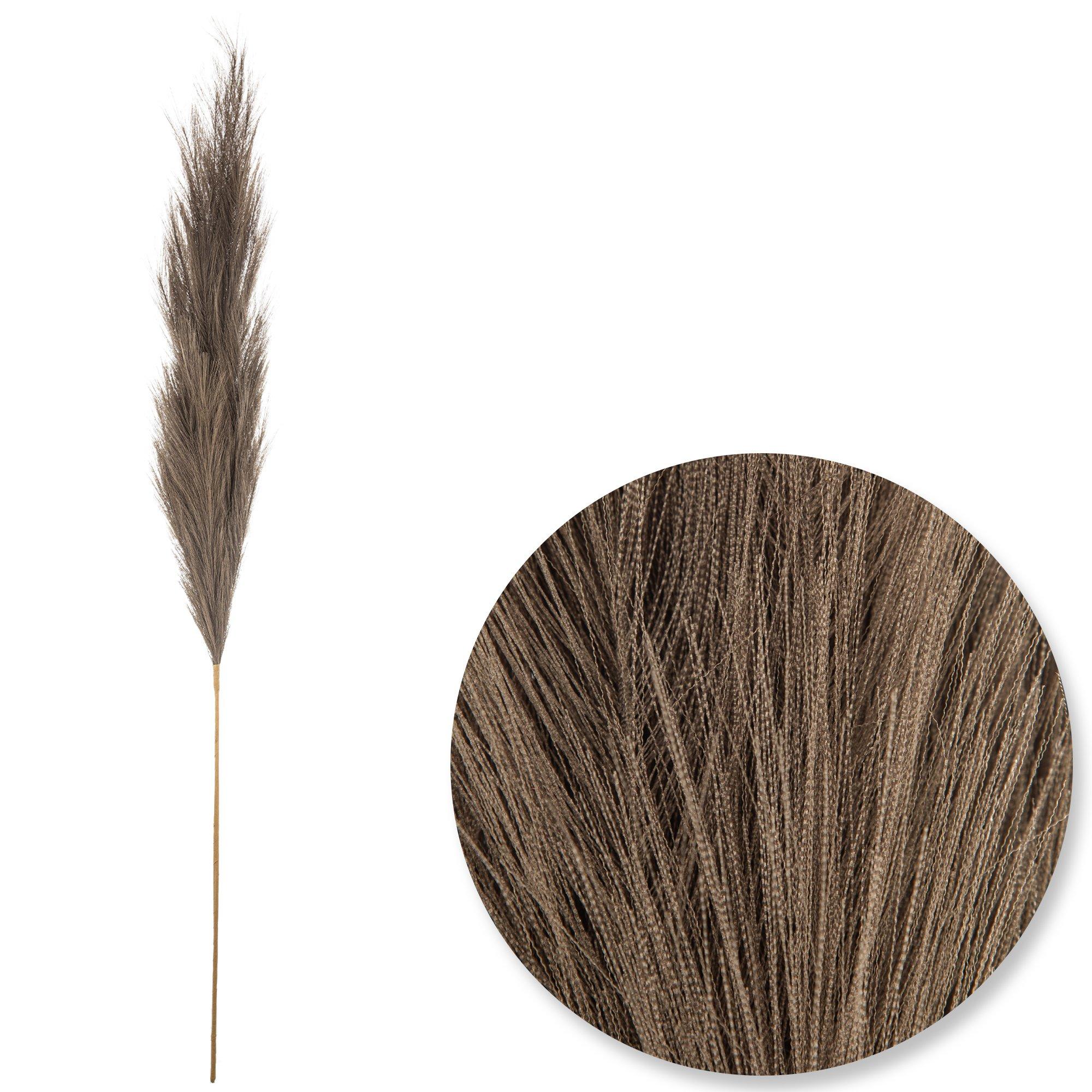 Pampas Grass Stem Hobby Lobby 2407864