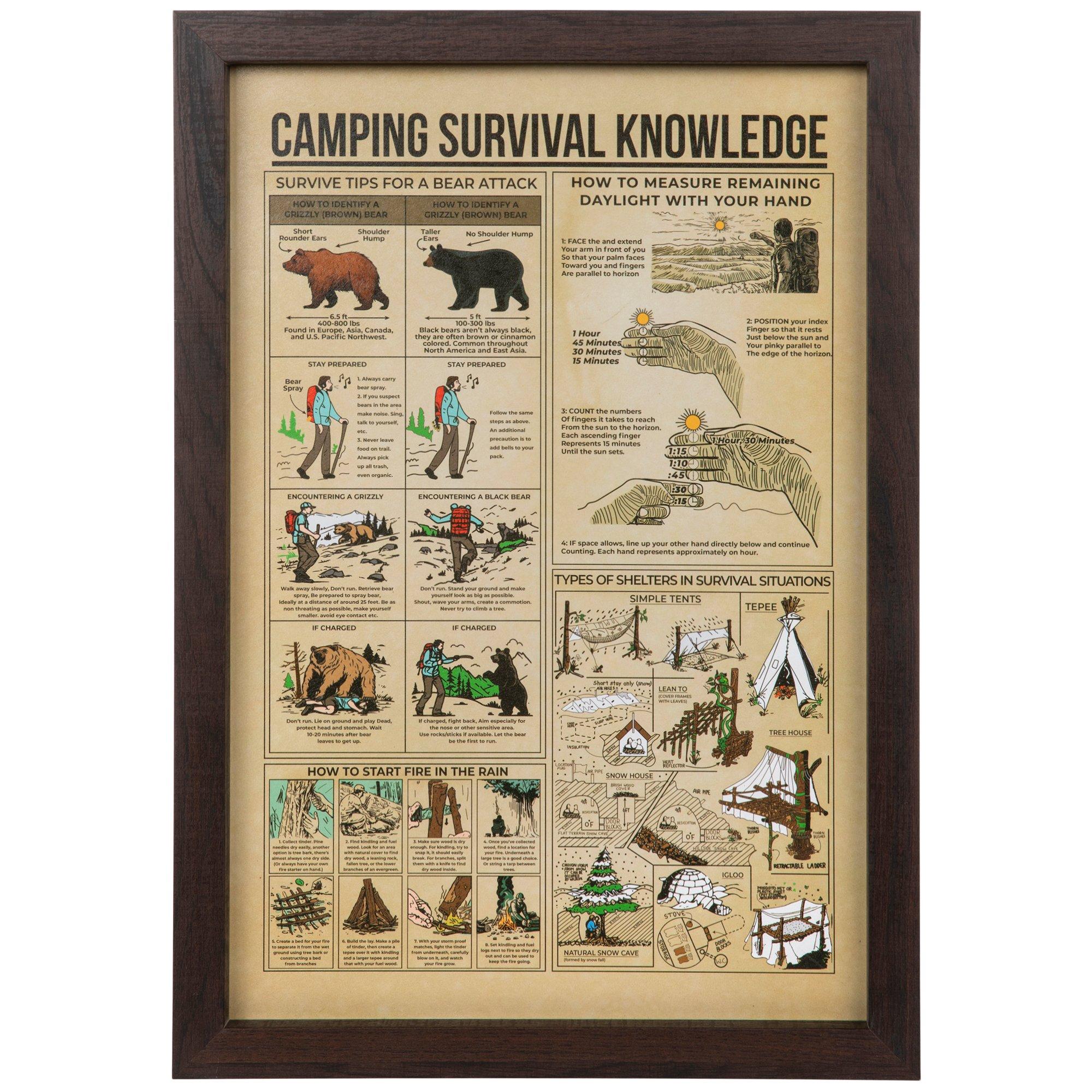 Camping Knowledge Framed Wall Decor | Hobby Lobby | 2408771