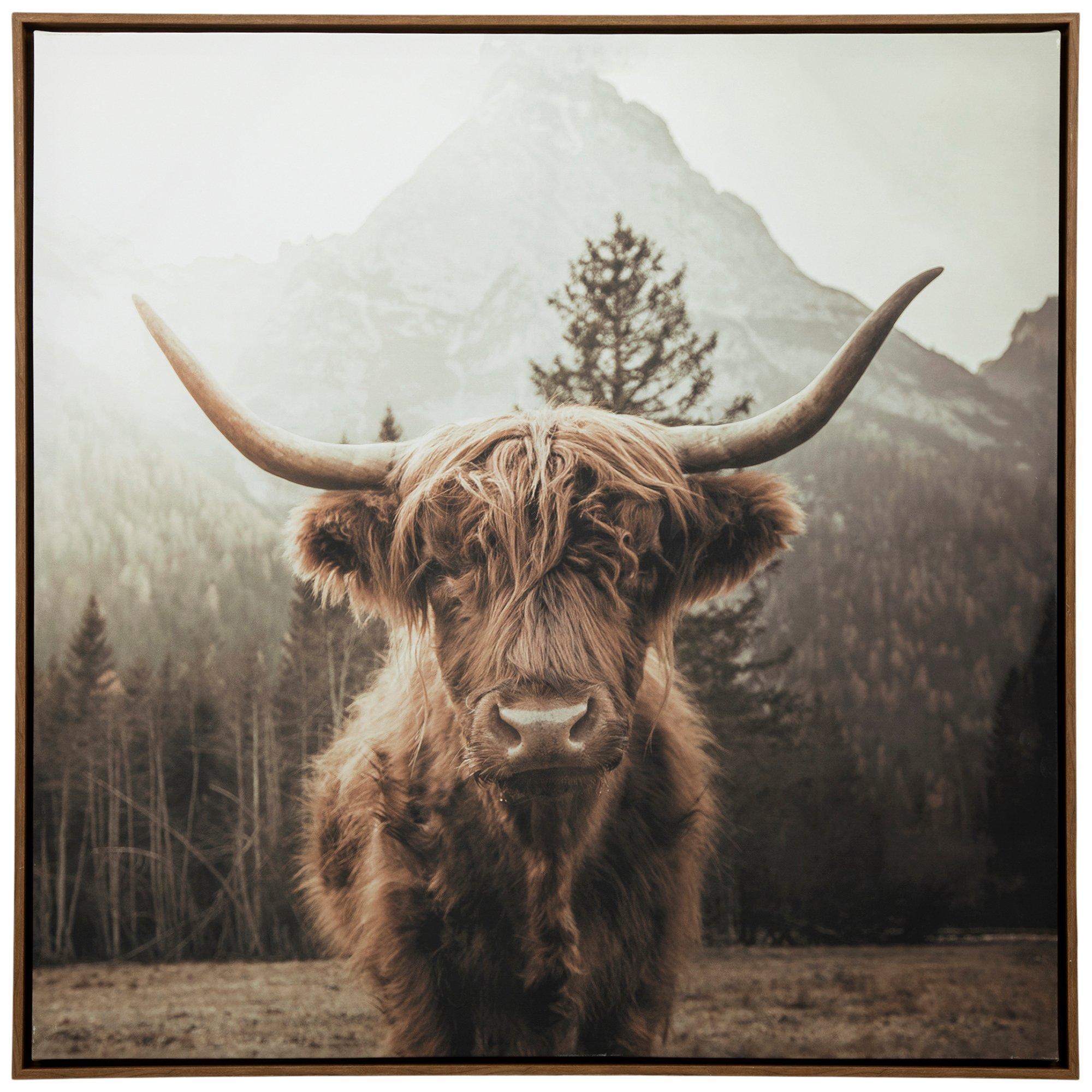 Highland Cow Framed Canvas Wall Decor Hobby Lobby 2412658