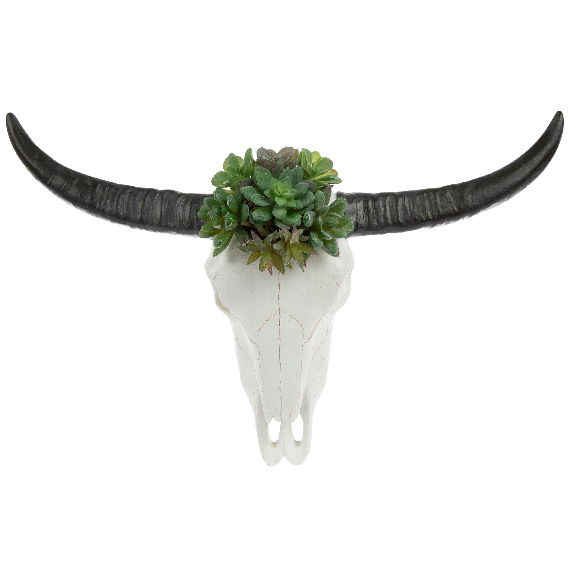 Cow Skull With Succulents Hobby Lobby 2413409