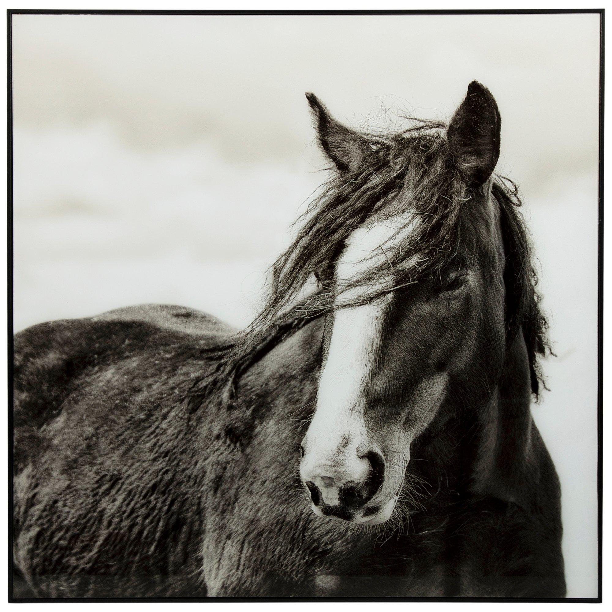 Shire Horse Framed Wall Decor Hobby Lobby 2413540