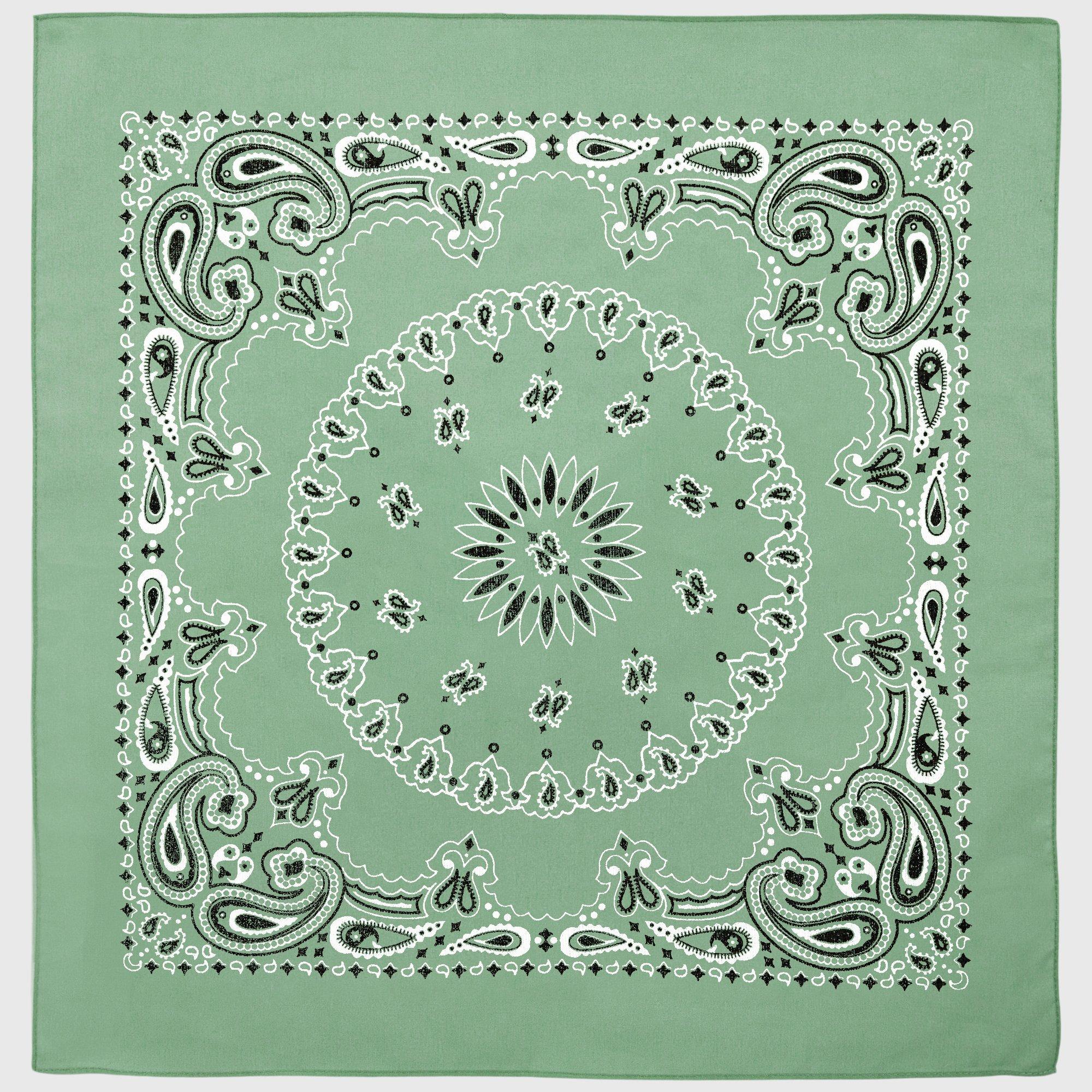 Paisley Bandana Hobby Lobby 2414688