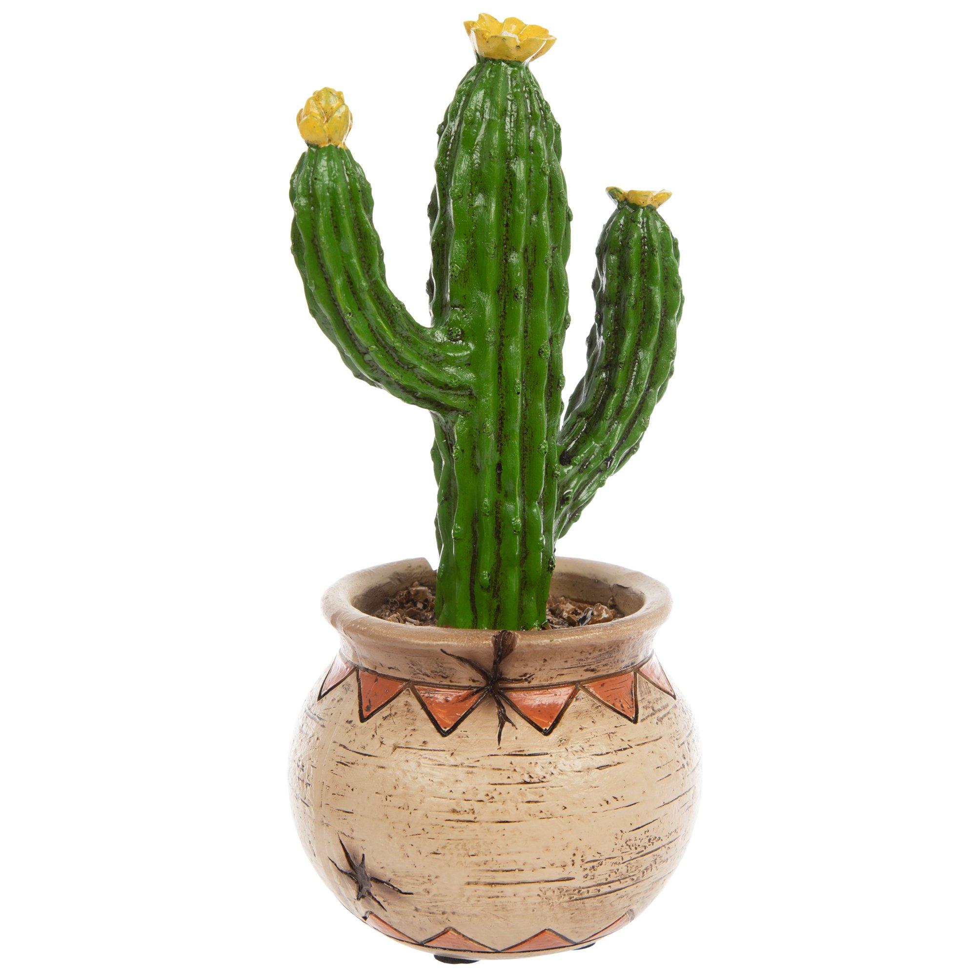 Potted Cactus Hobby Lobby 2415941