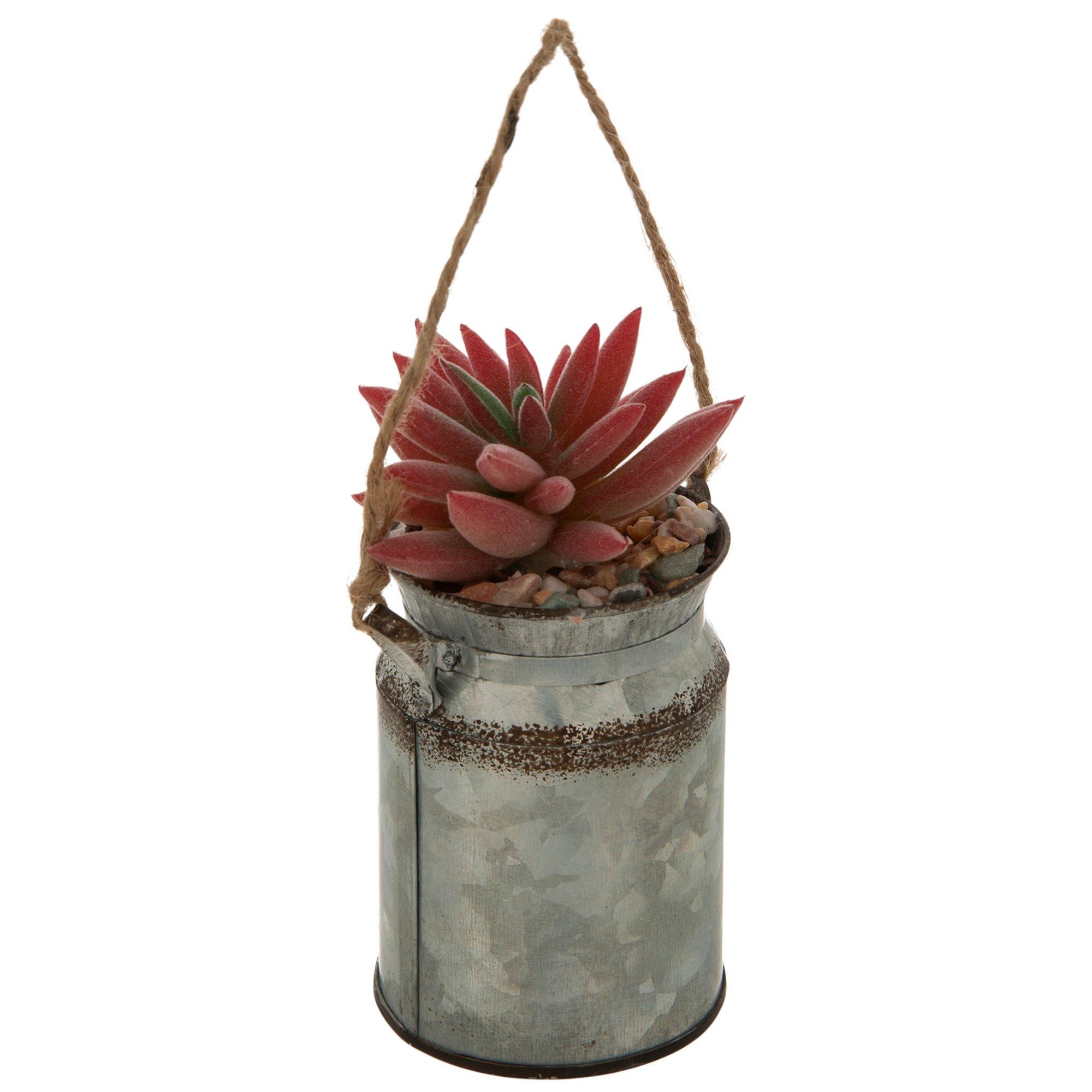 Mini Metal Milk Can With Succulent | Hobby Lobby | 2419679