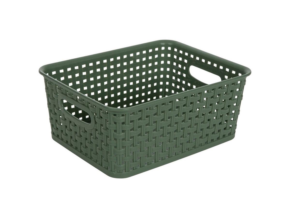 2422236-81185019-10162024-