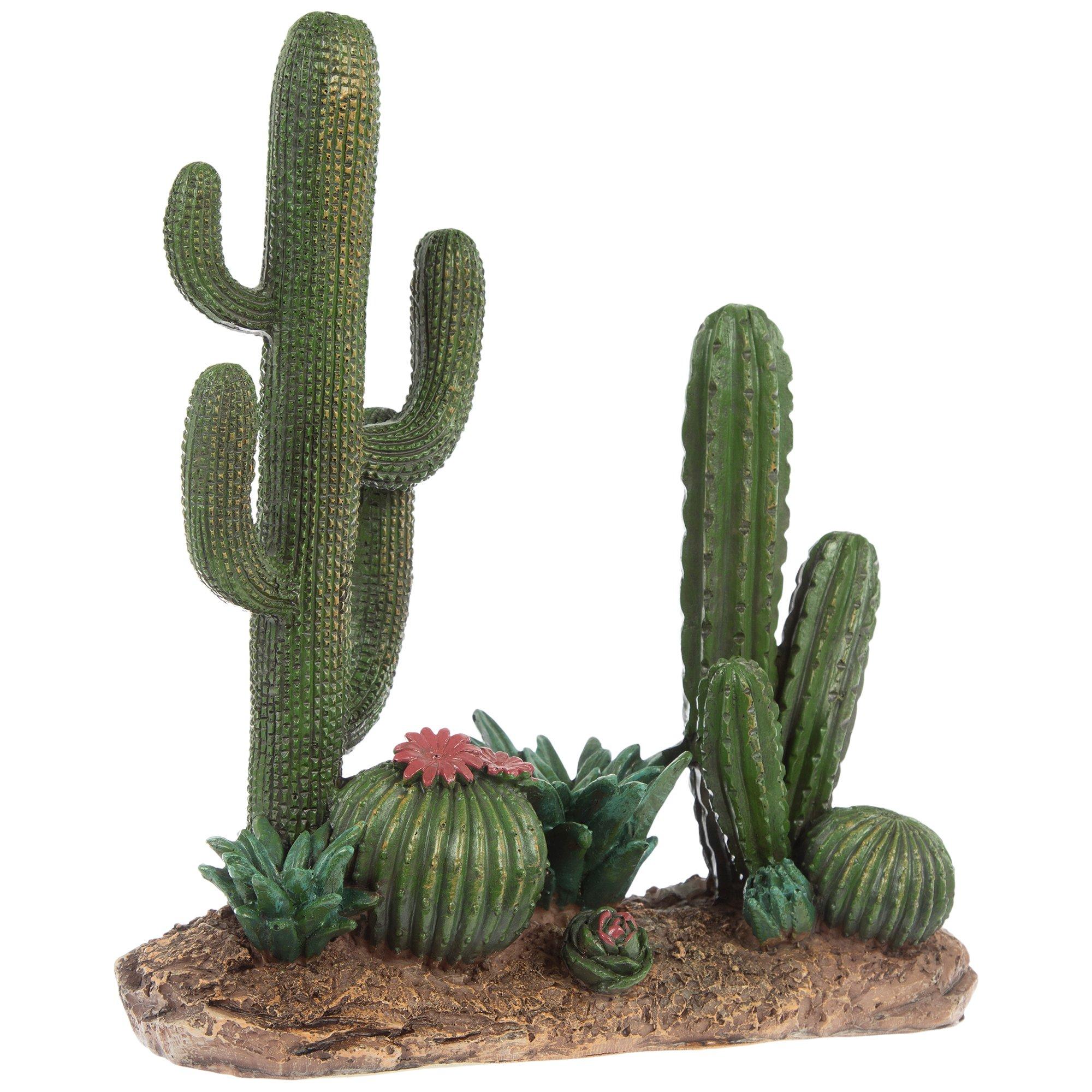 Desert Cacti & Succulents Hobby Lobby 2422871