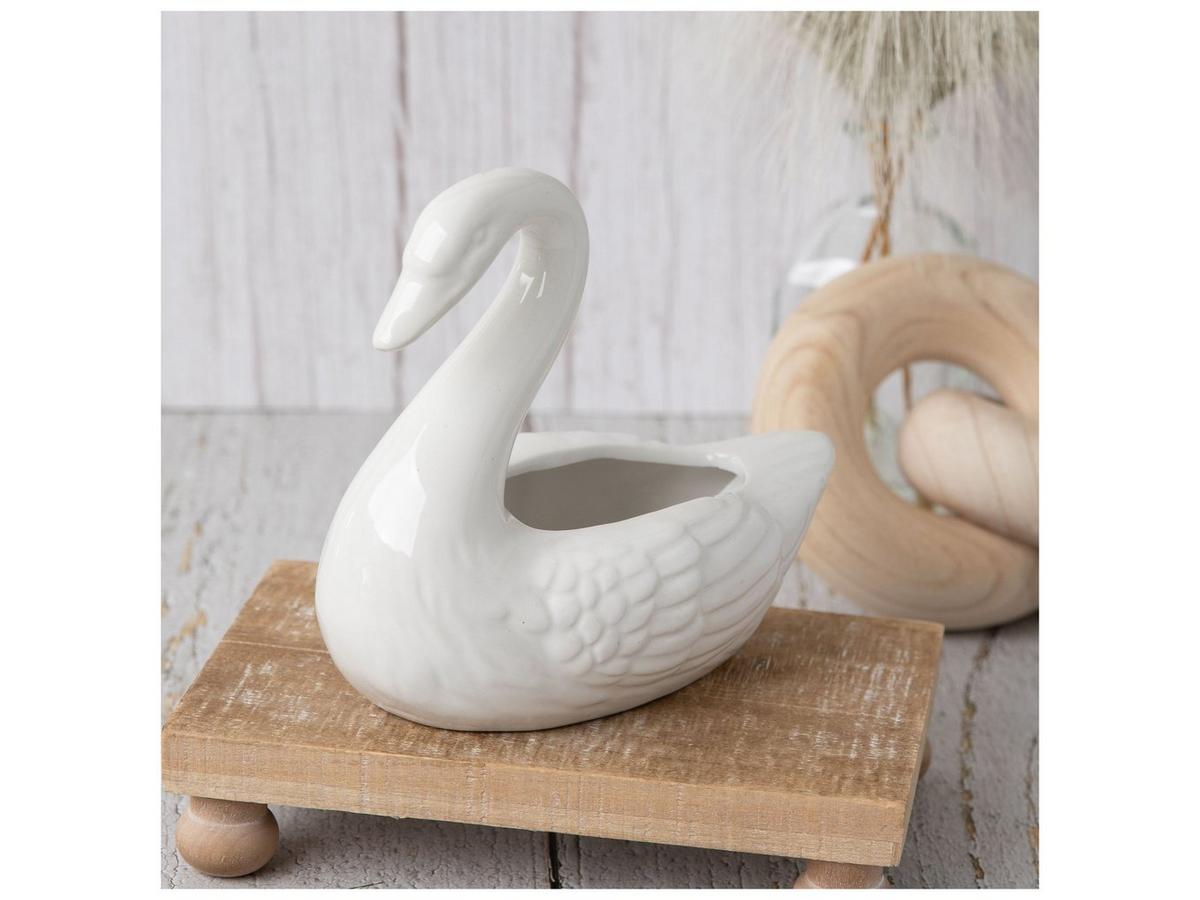 2426088-81185819-11272024-