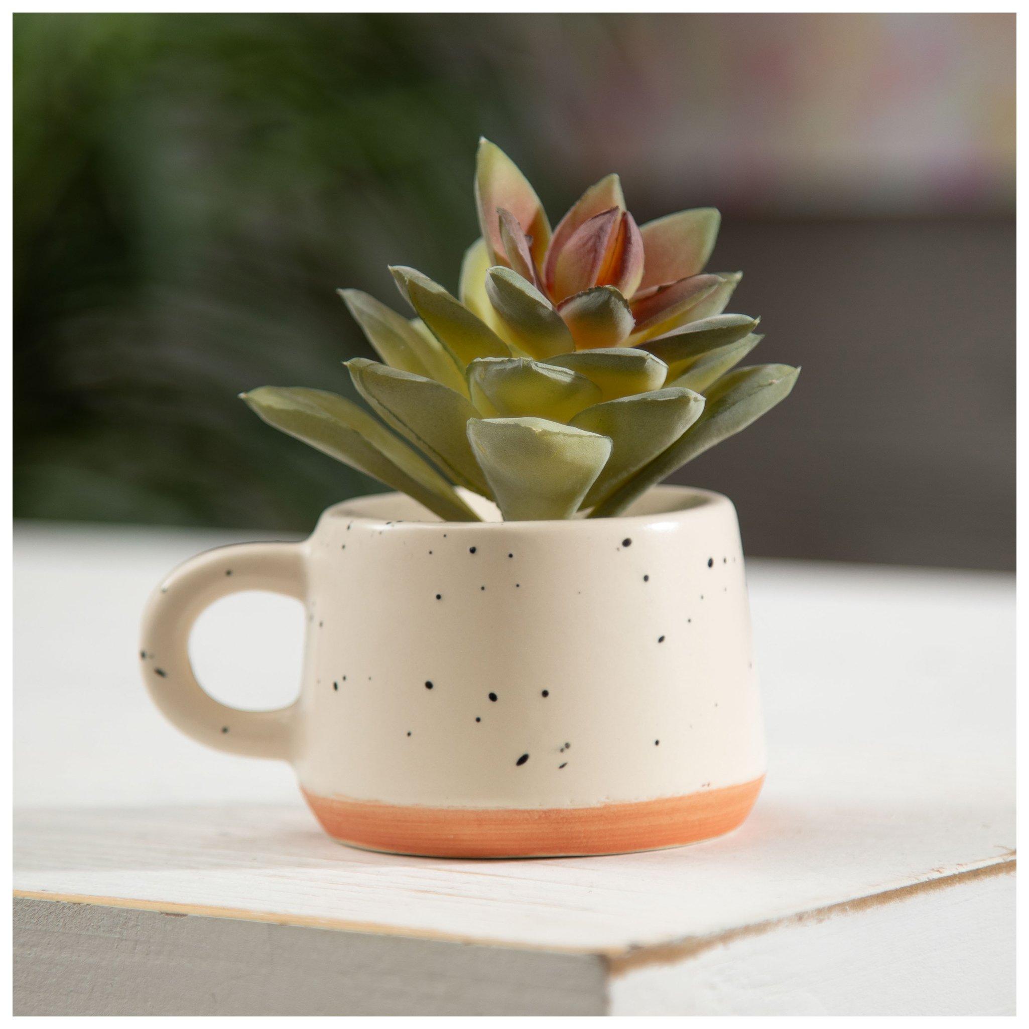 Selected Product Image