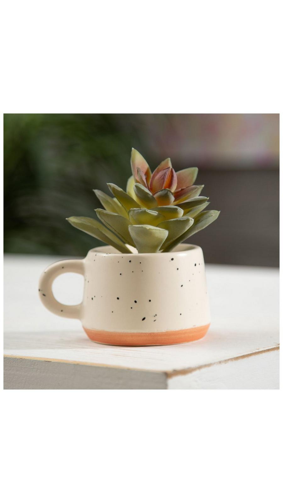Floral Decor | Succulents & Pampas Grass | Hobby Lobby