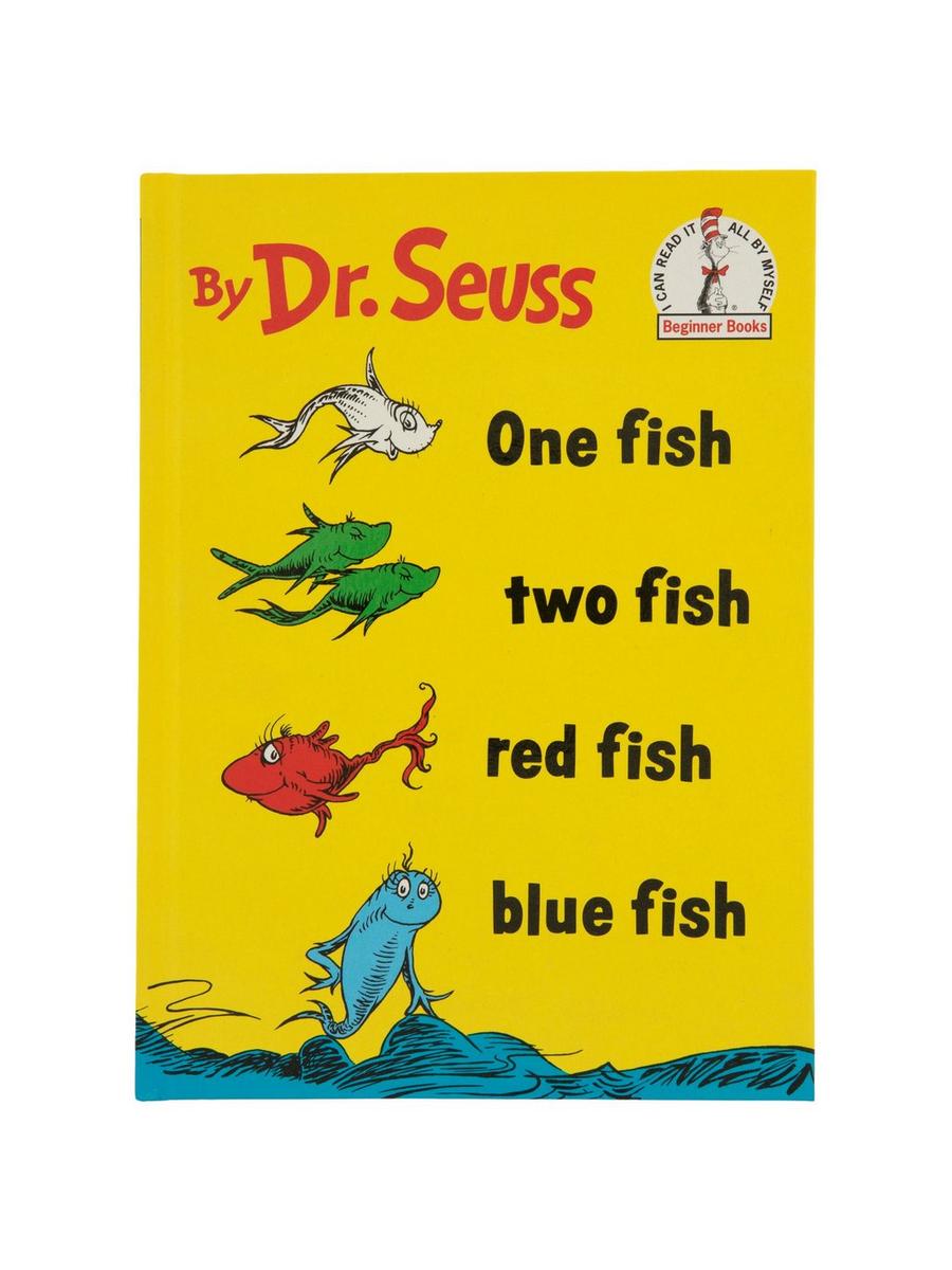 2434538-81187380-05162025-