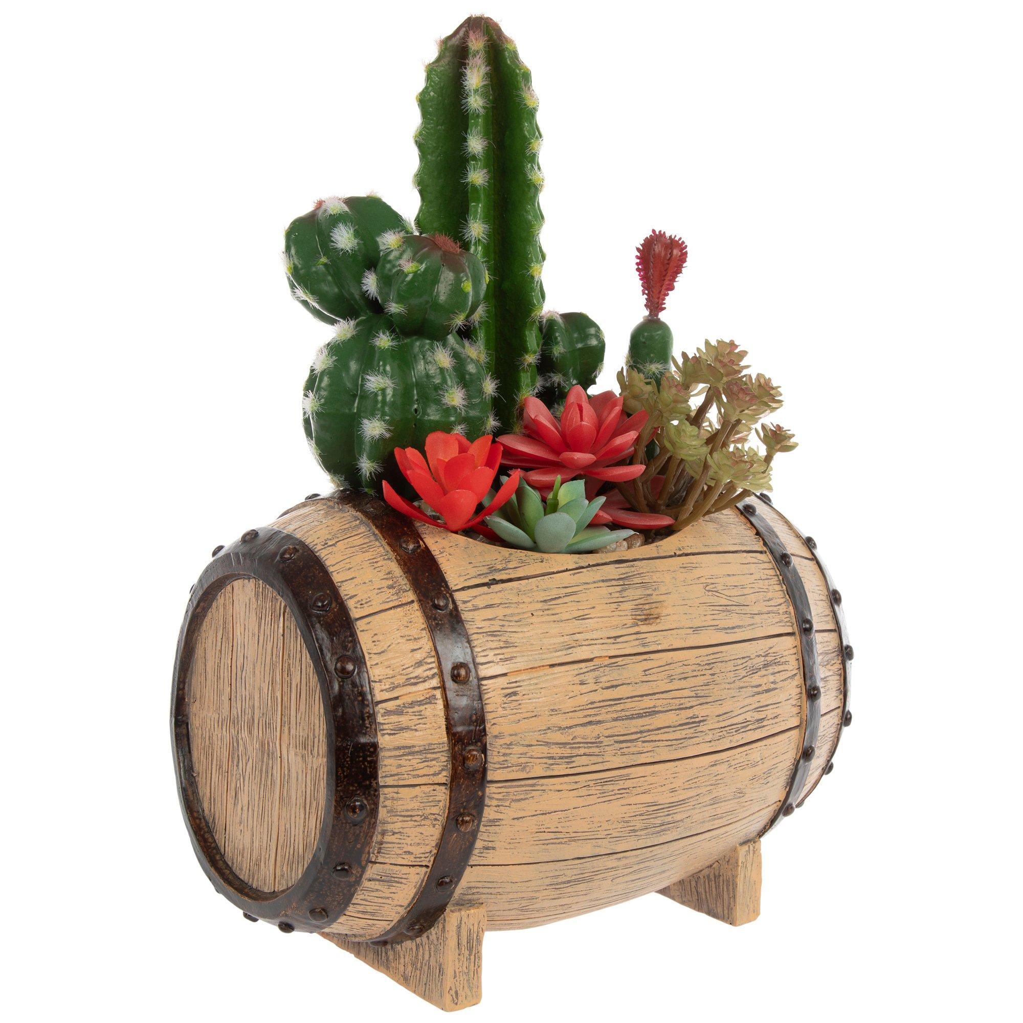 Cacti & Succulents In A Barrel Hobby Lobby 2436079