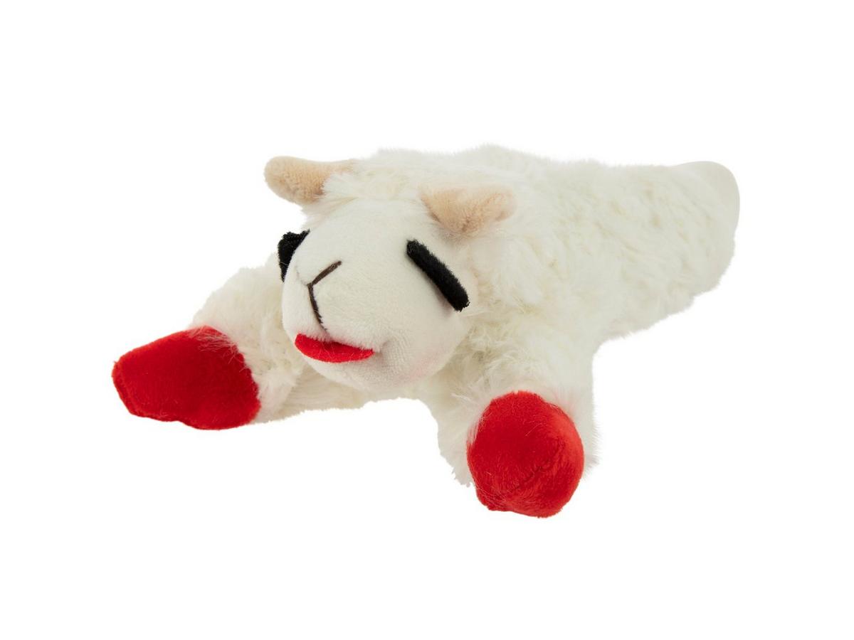 2442697-81188607-10182024-