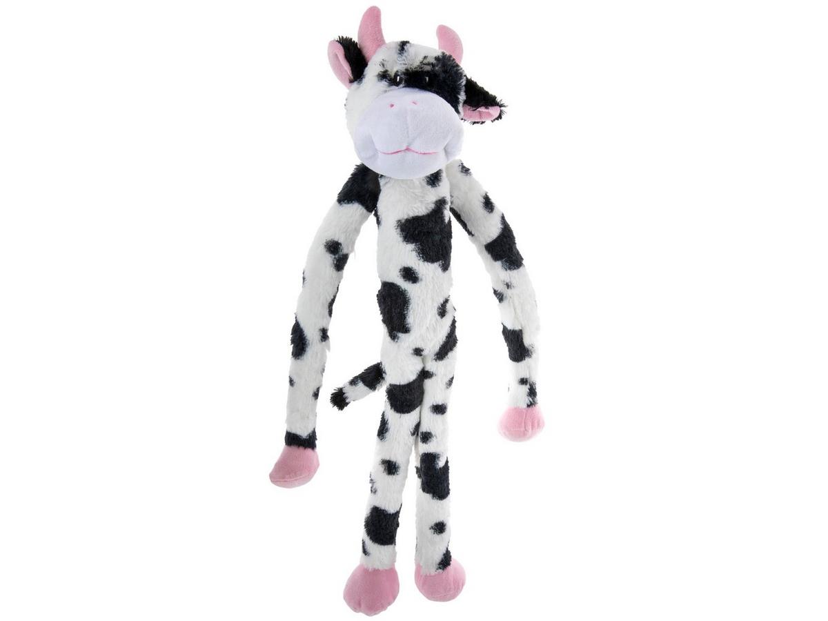 2442754-81188616-10182024-