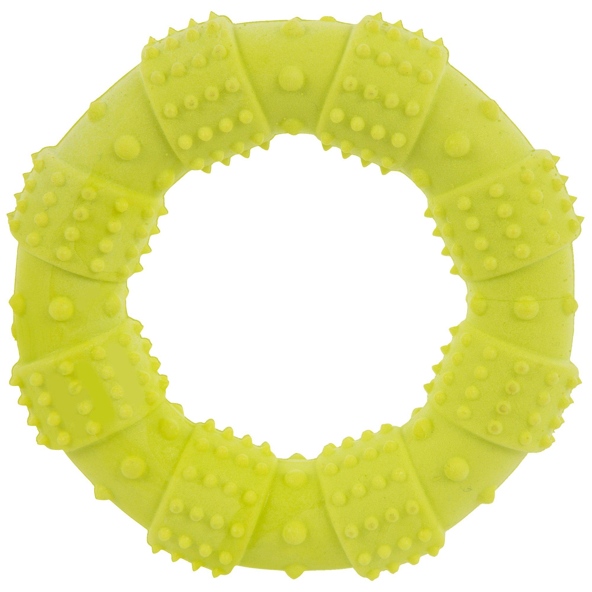 Green Textured Dog Toy Ring